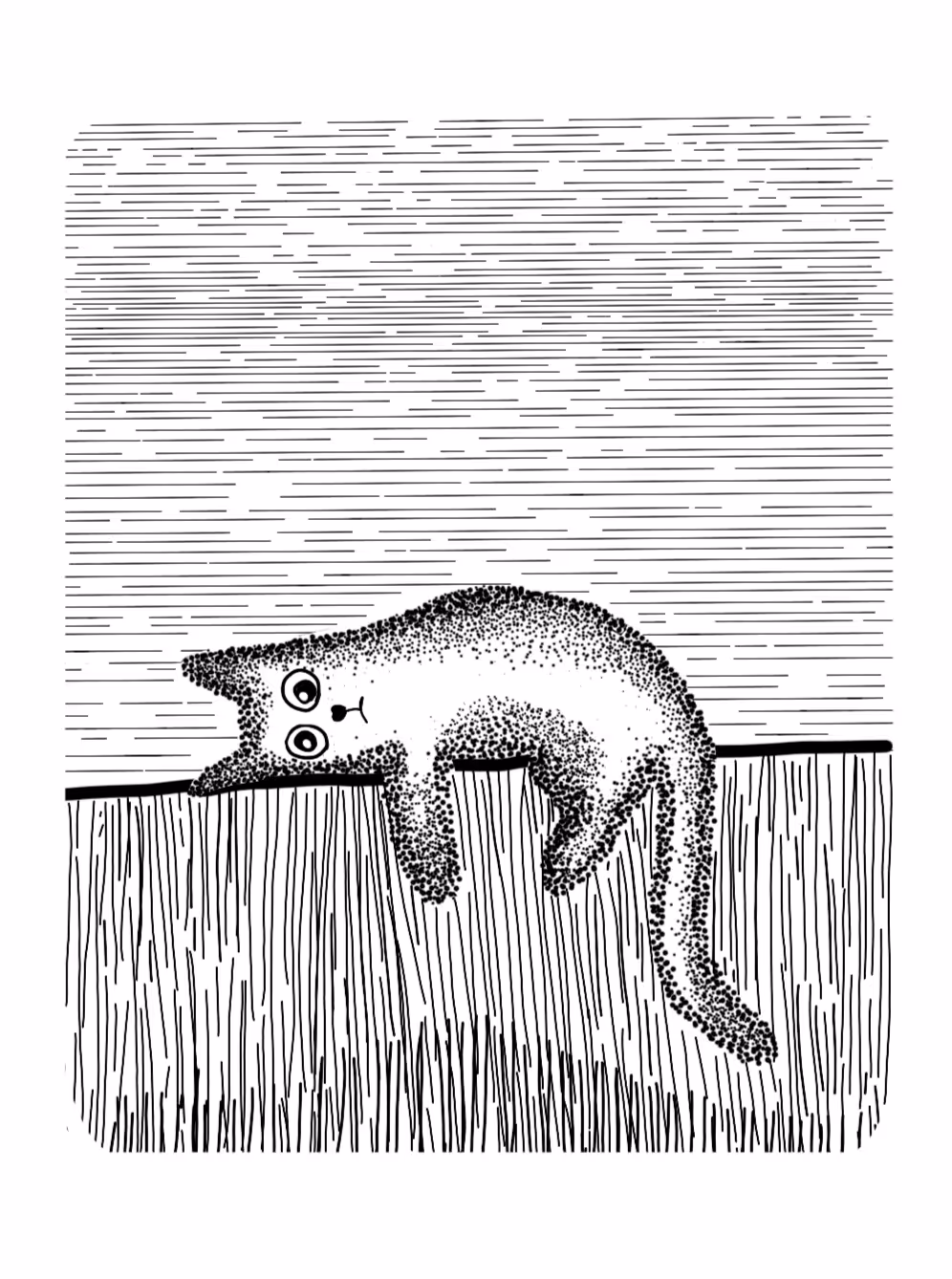 Tom without Jerry 