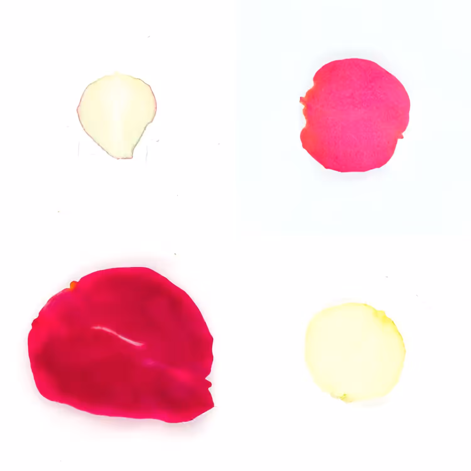 Infinite Petals 2x2#20334