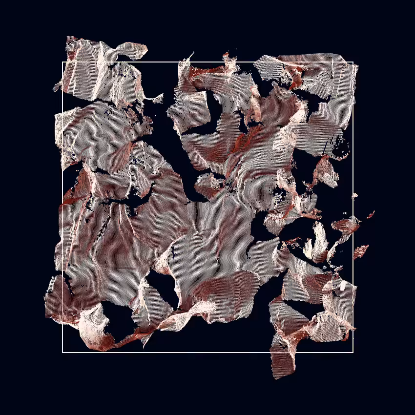 Fibril #127