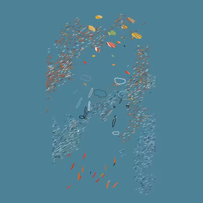 The Shadows of Shallows #3
