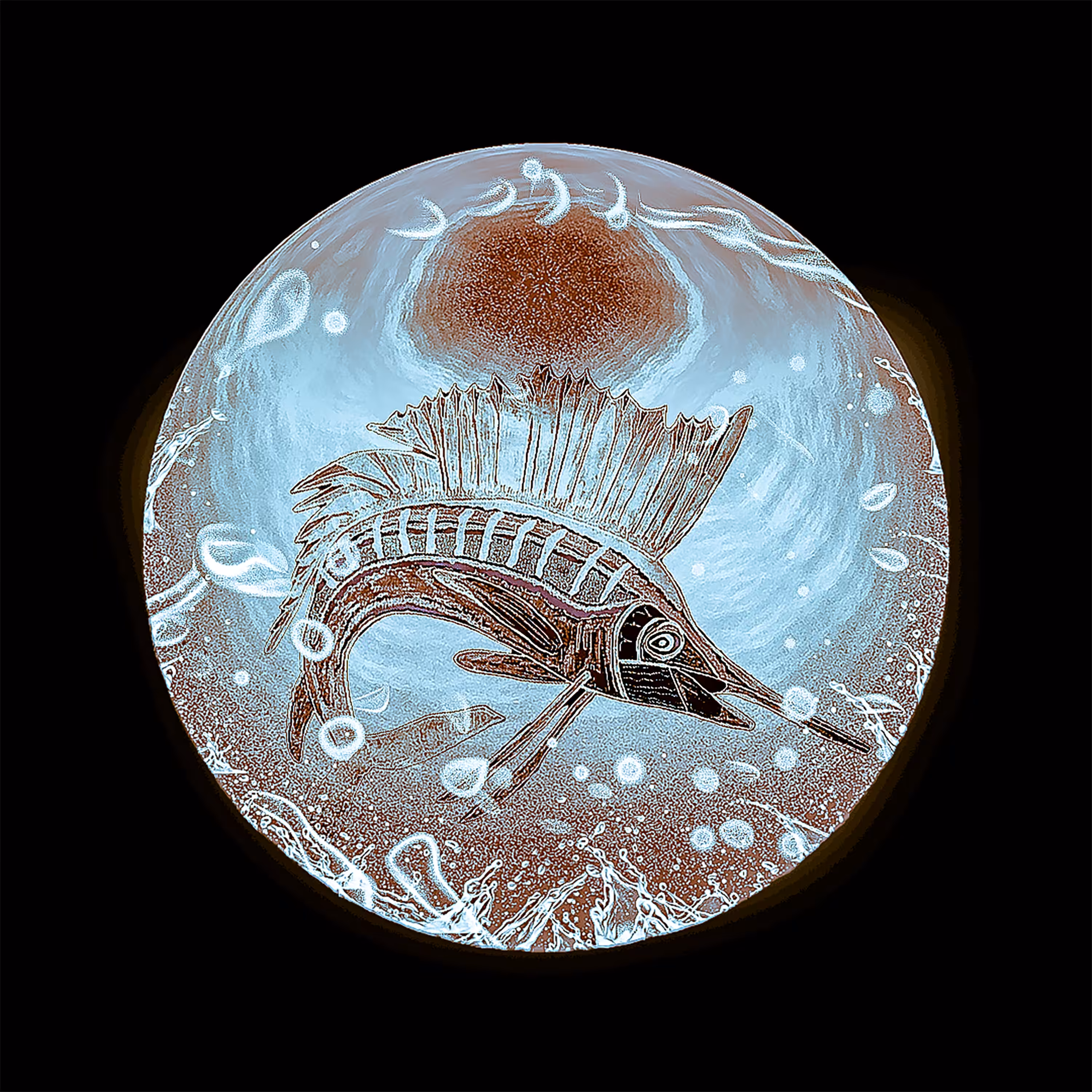 Sailfish, Ocean Organizers