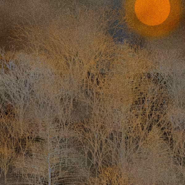 Moonlit Native Bush #58