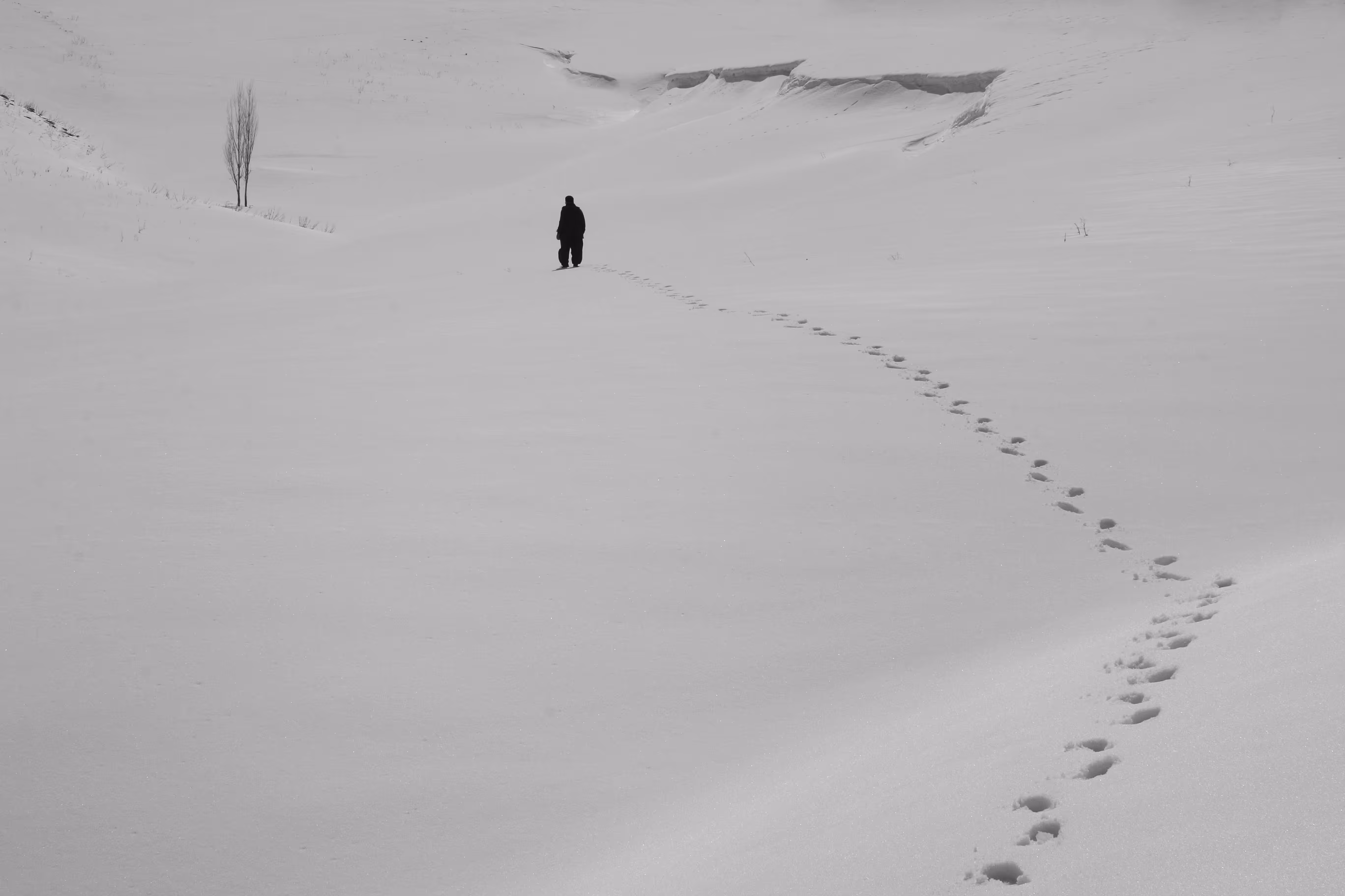 In the snow