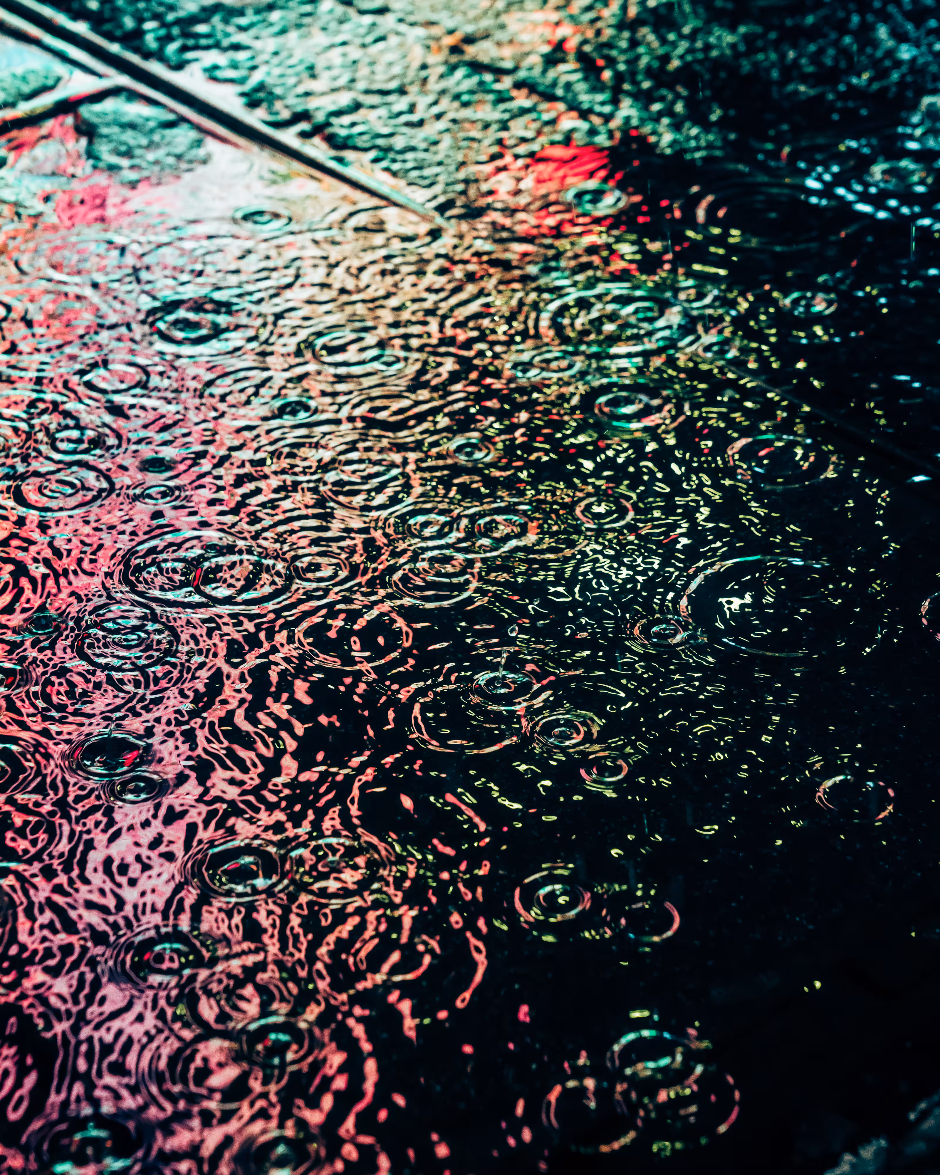 DRIP DROP: DRIP #177