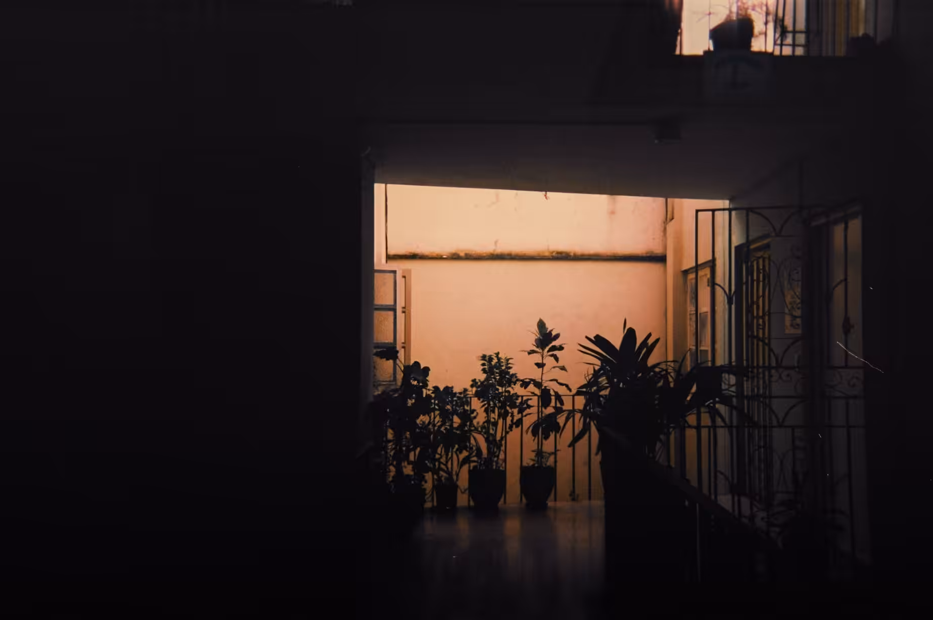 The Communal Plants