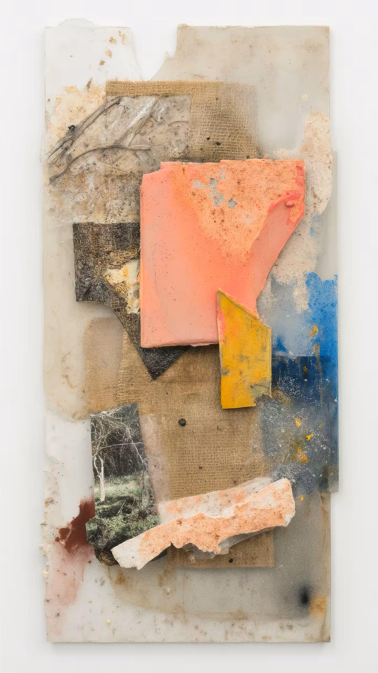 untitled (704)