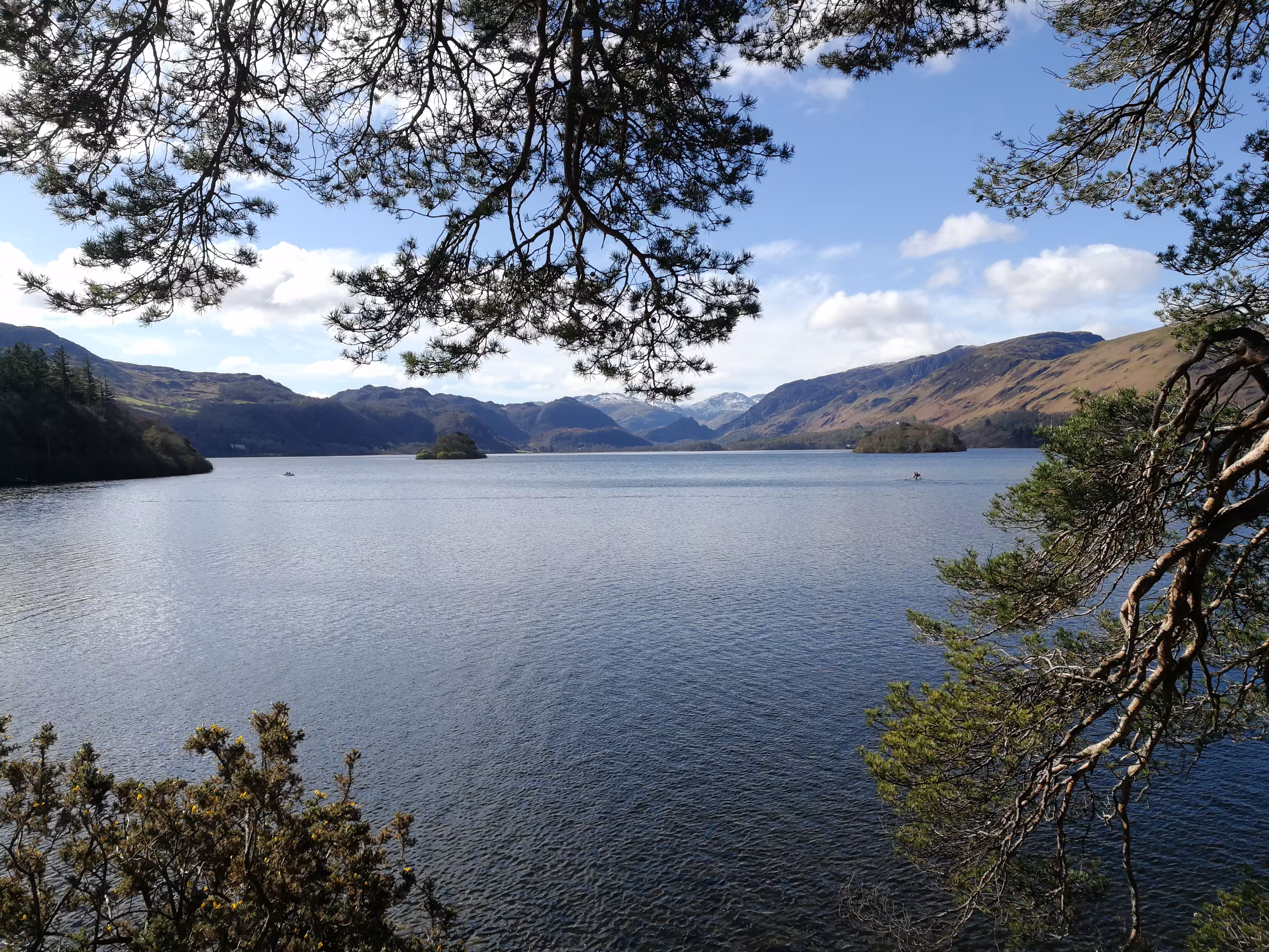 The Lake