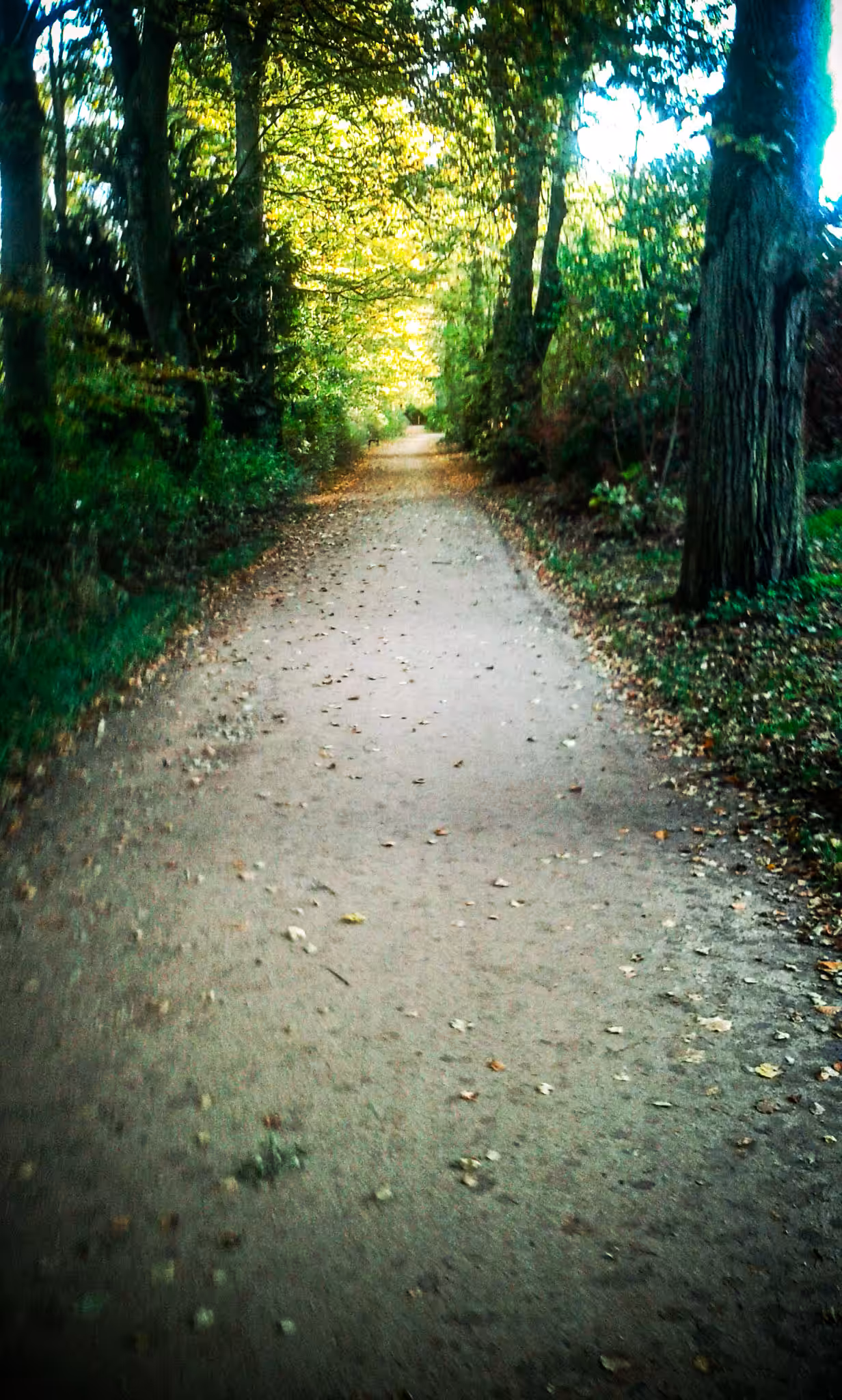 Endless Path