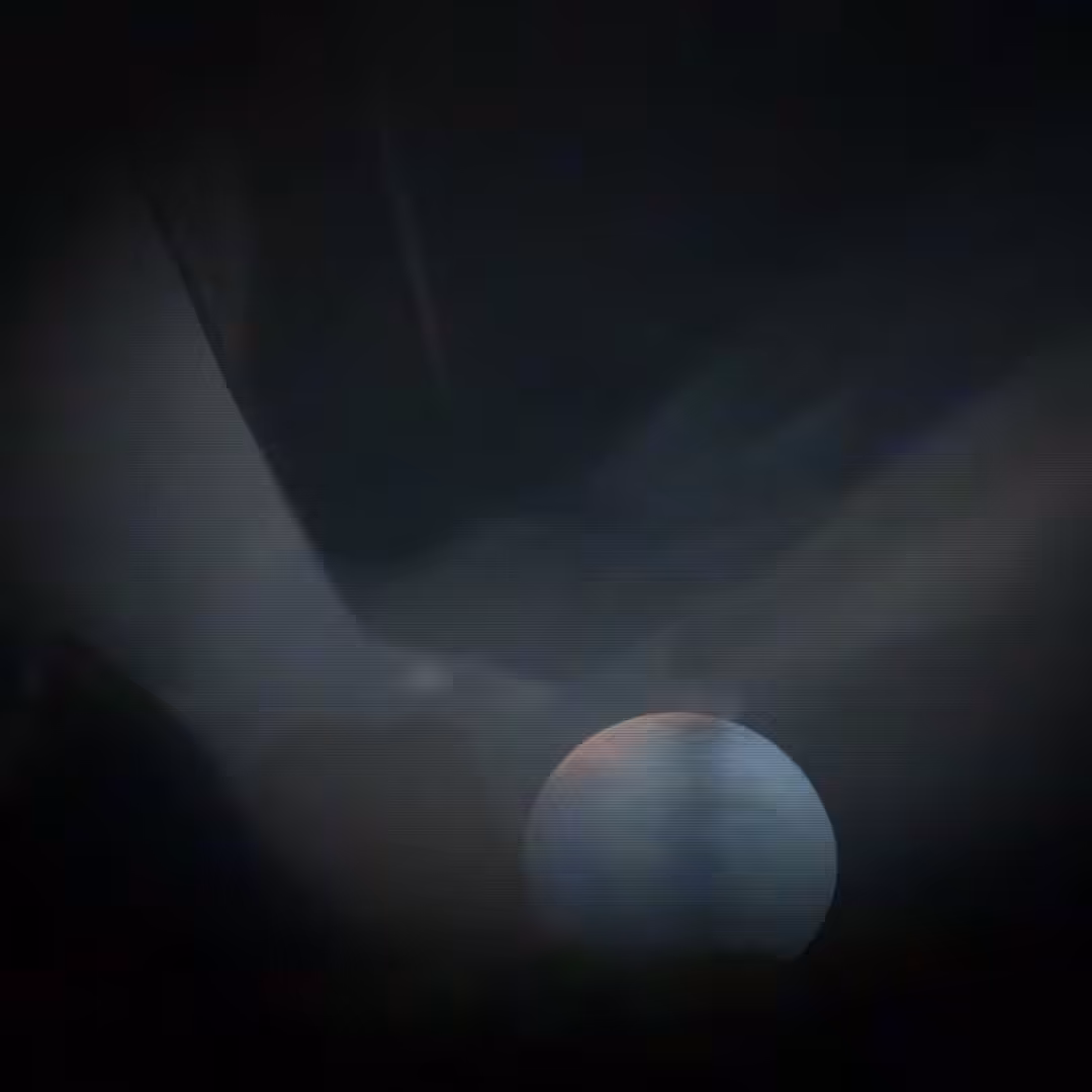 visualX #7