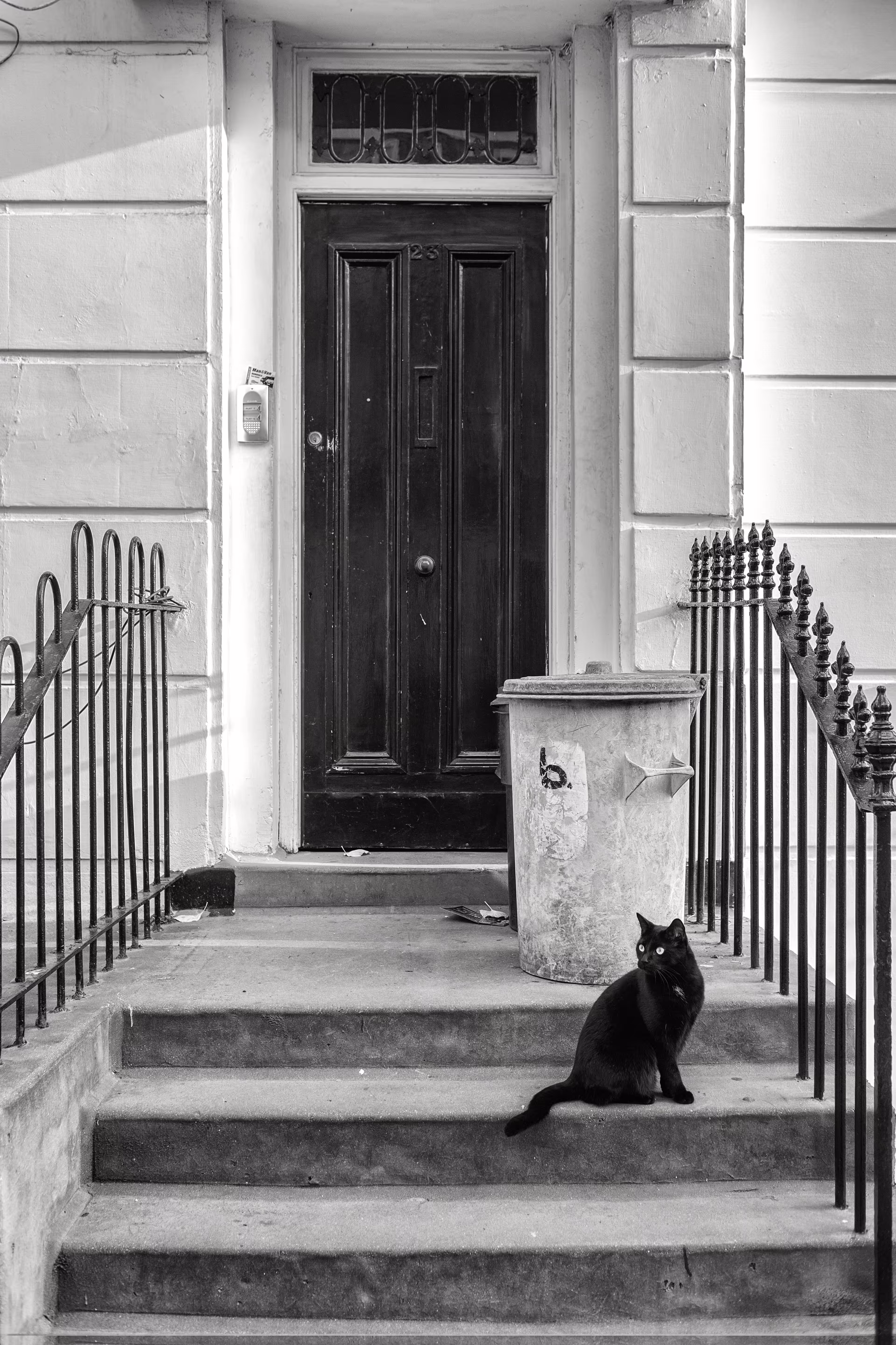 Black Tottencat