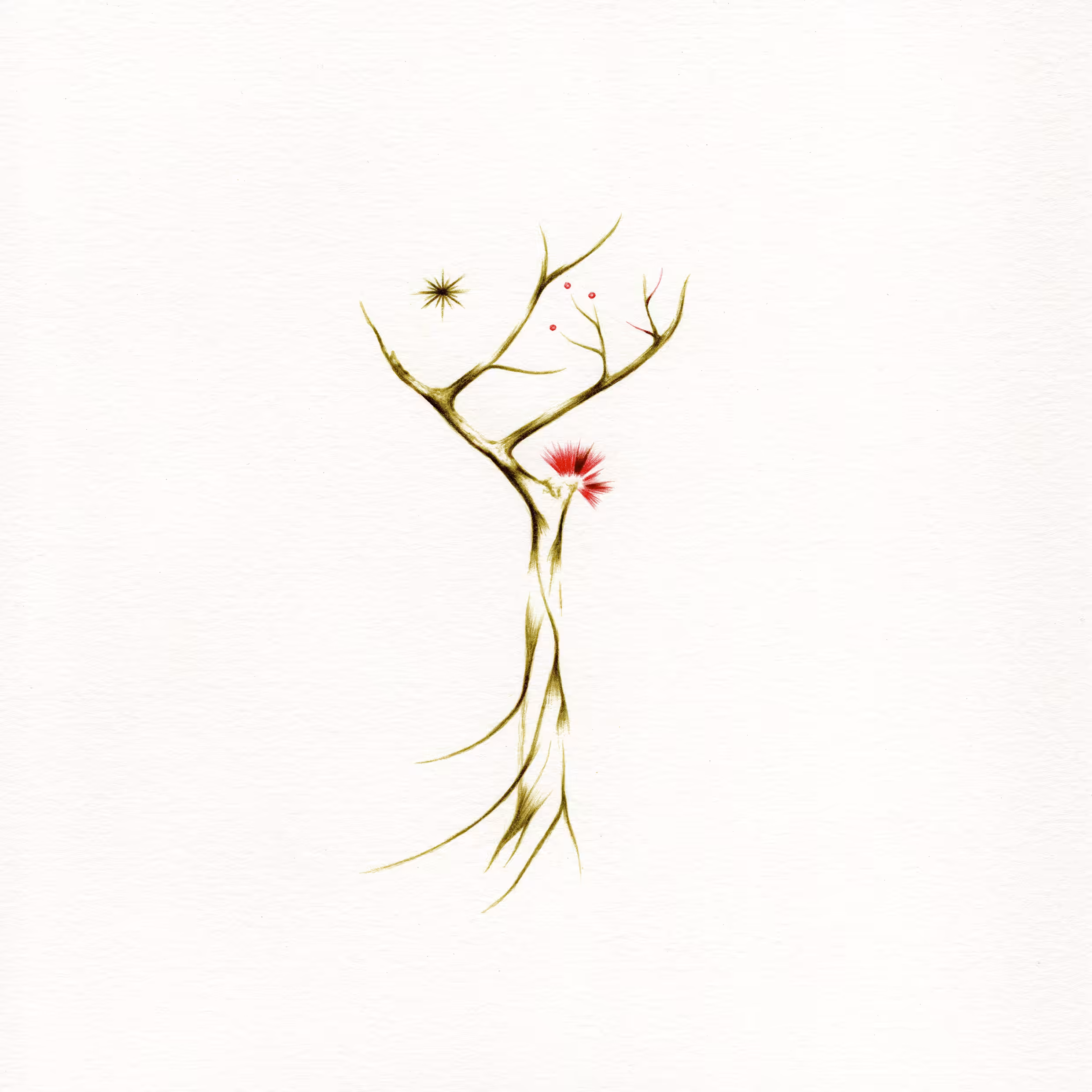 imaginary trees: imaginary tree #8