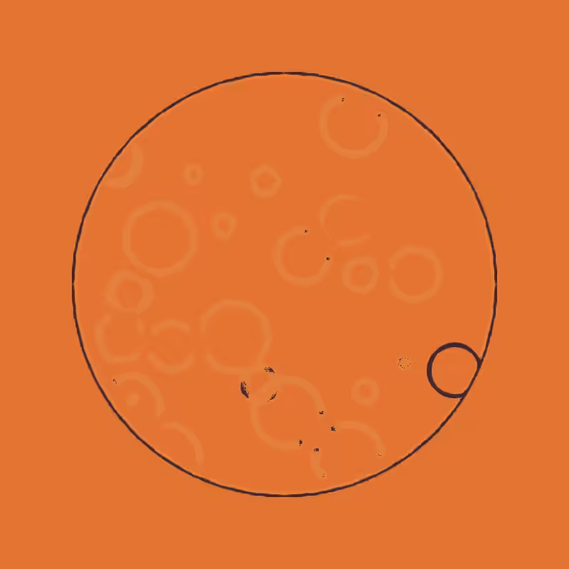 Cheap Petri Dish #1