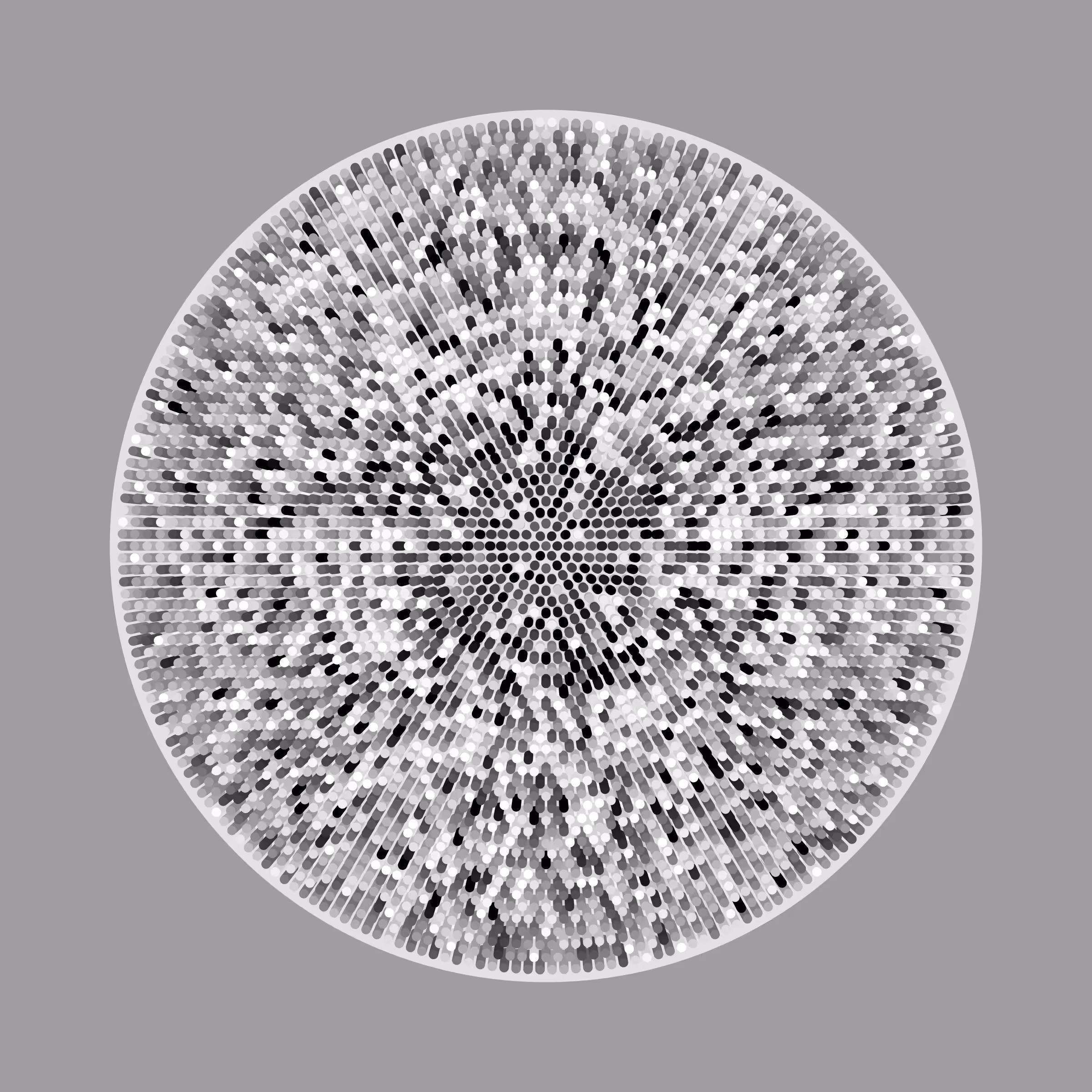 Transitions #2459