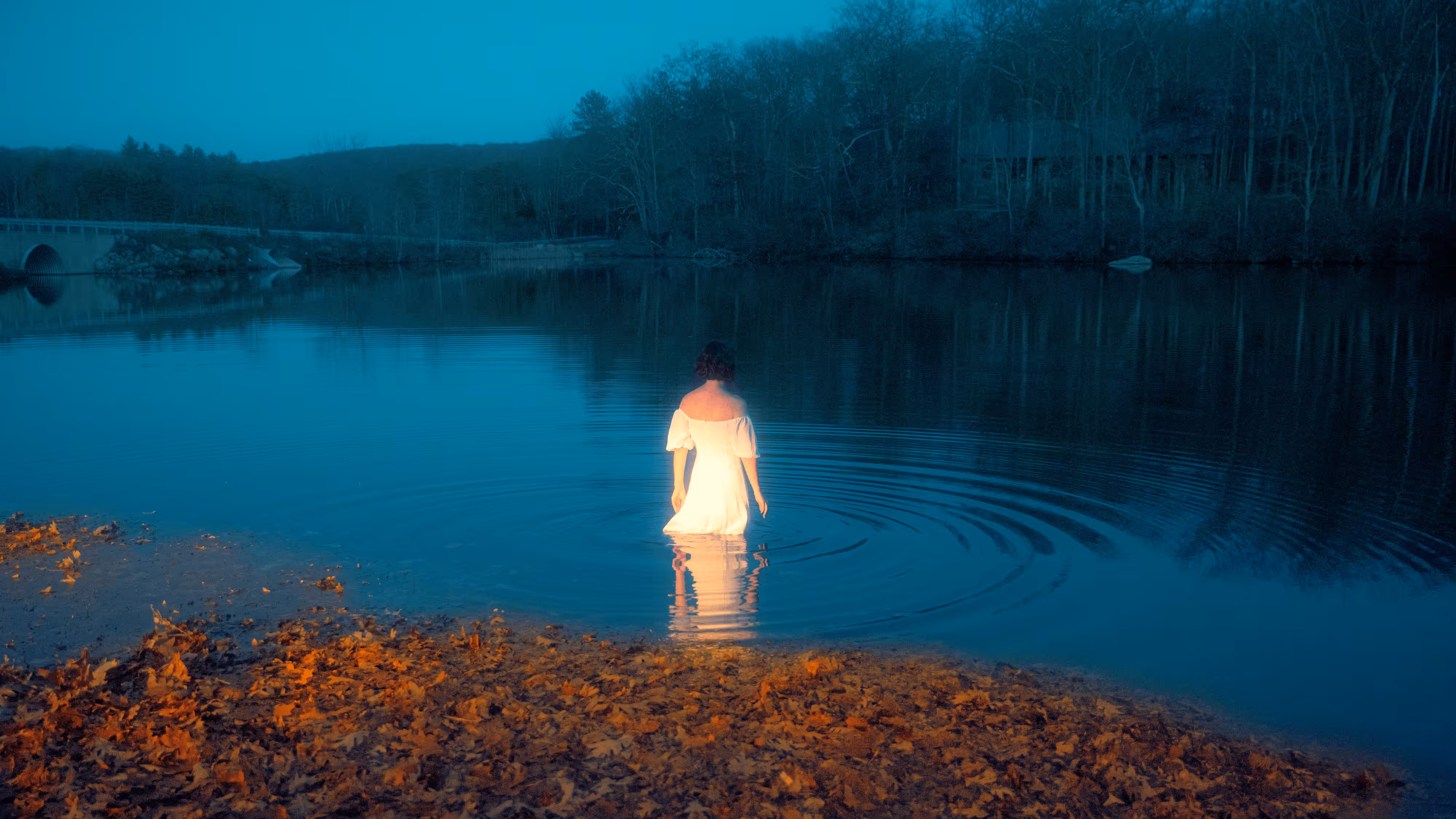 THE LAKE.