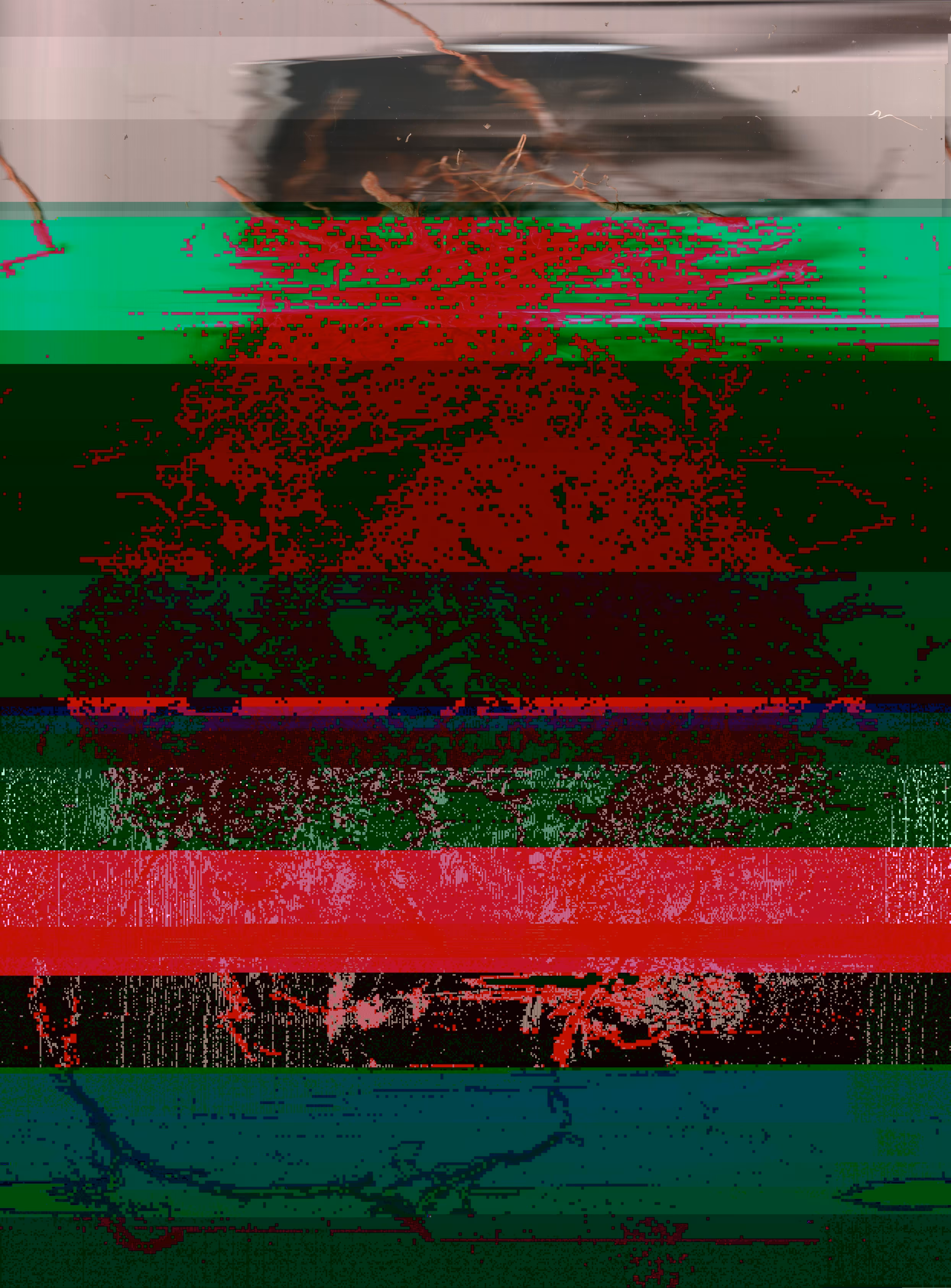 Blorgg Honklorph Malfonxia g[3]