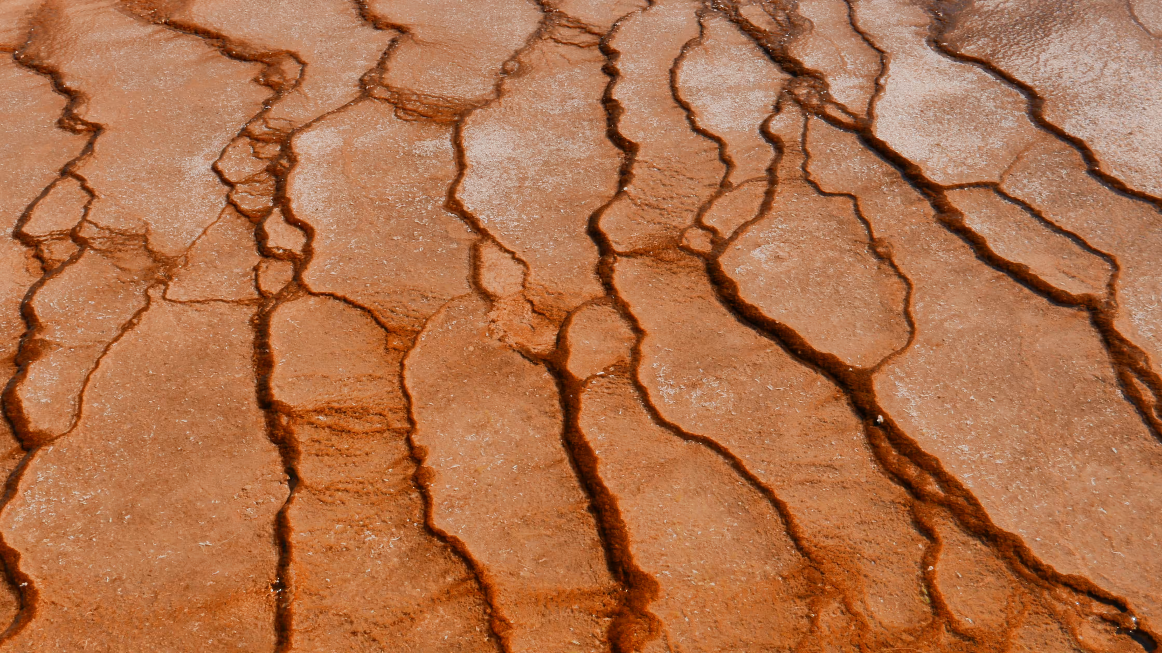 Liquid Mars