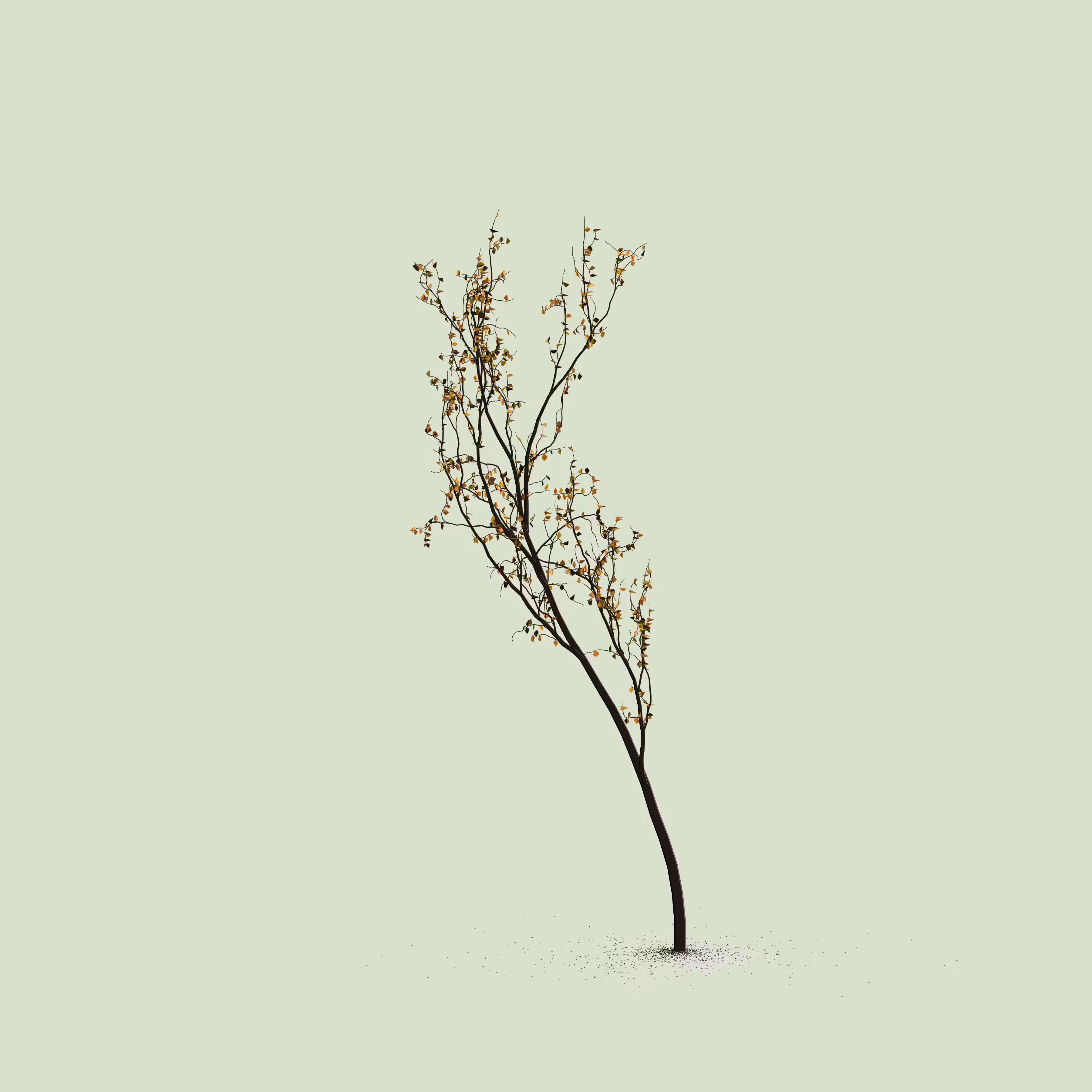 Little Trees #60
