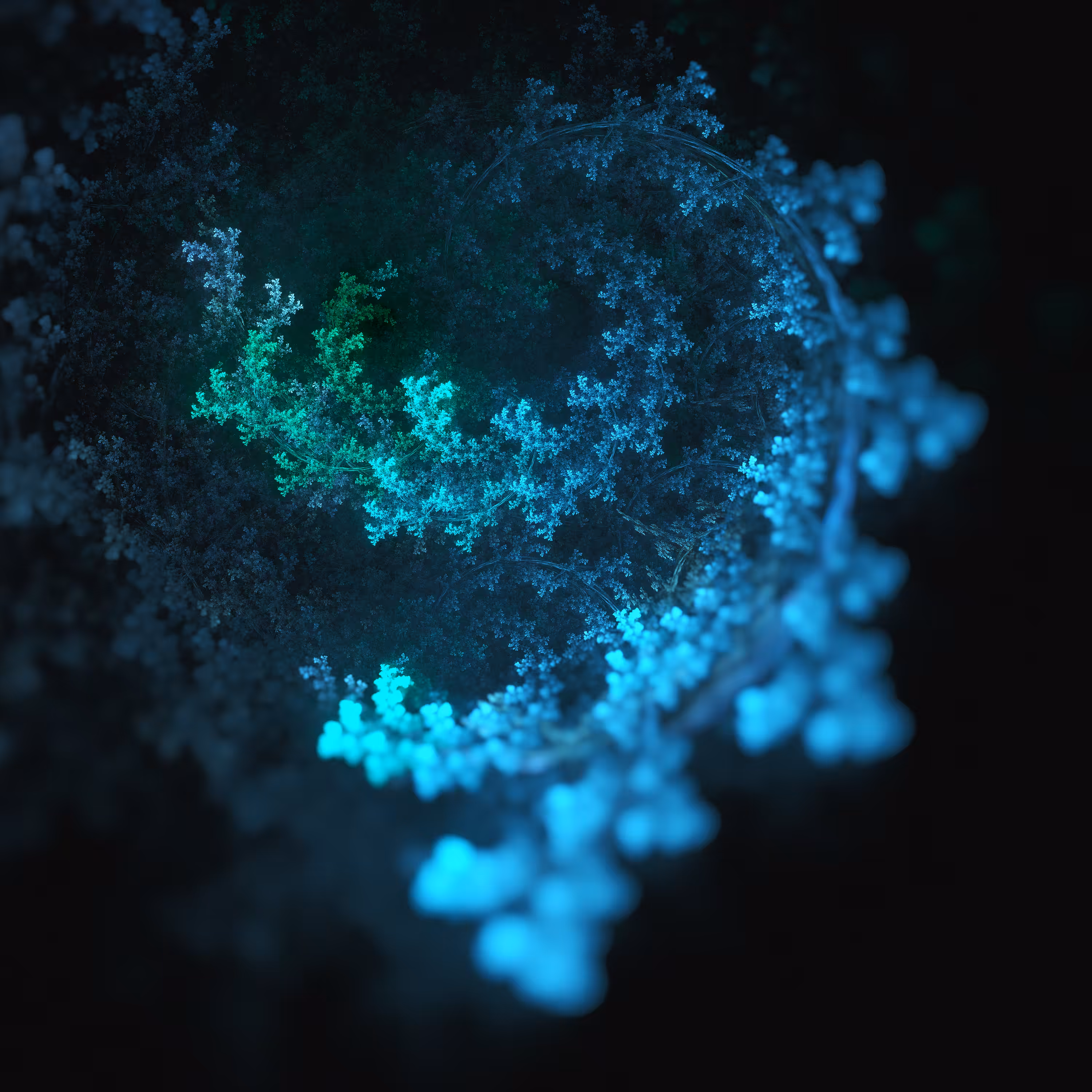 Fractal Anarchy \\ Series 001 \\ Fractal 002