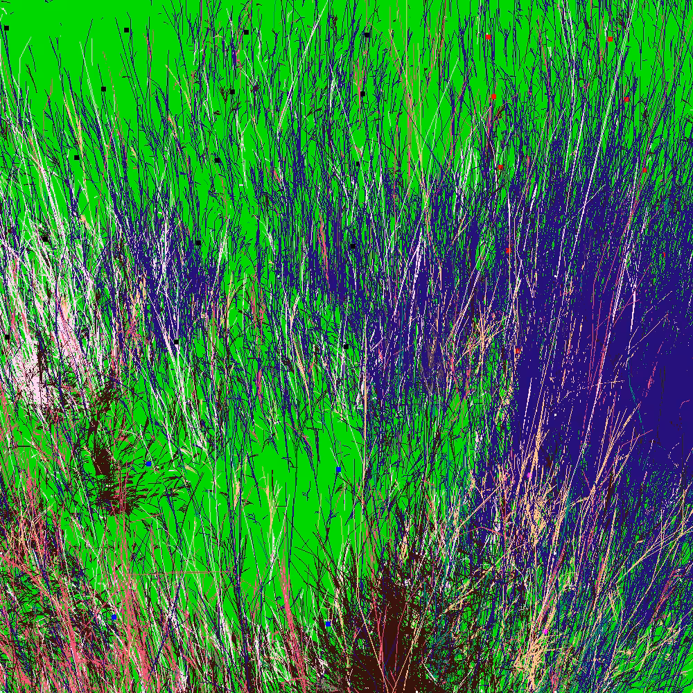 Infinite Garden: 65243 Flowers