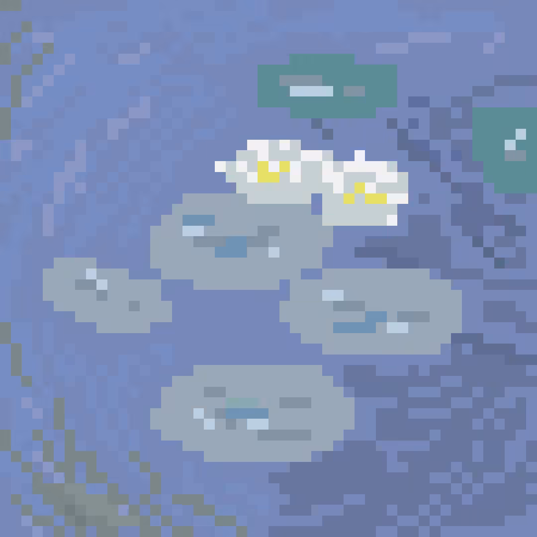 water_lilies,_evening_effect_1897