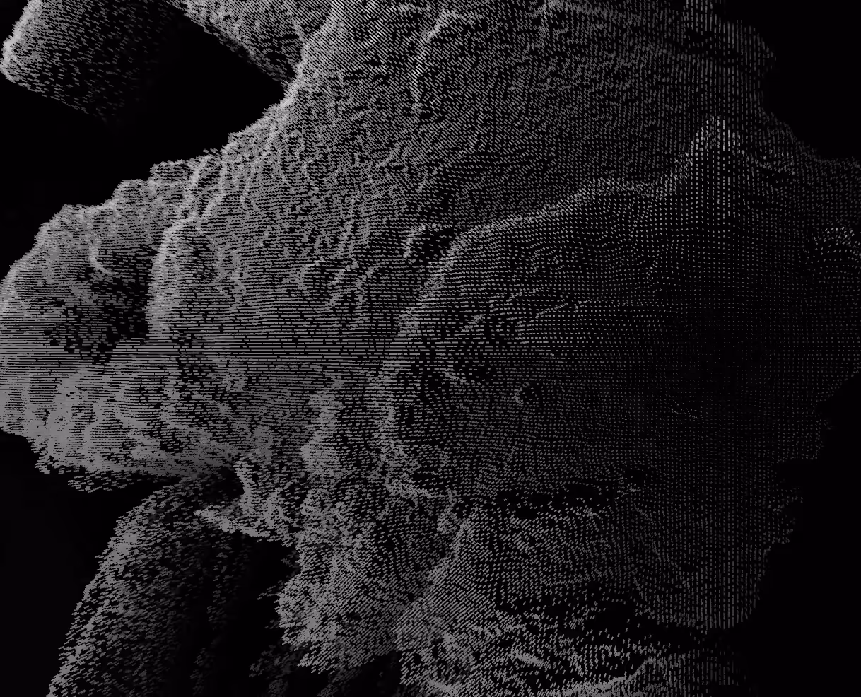 The Landscape Of The Void