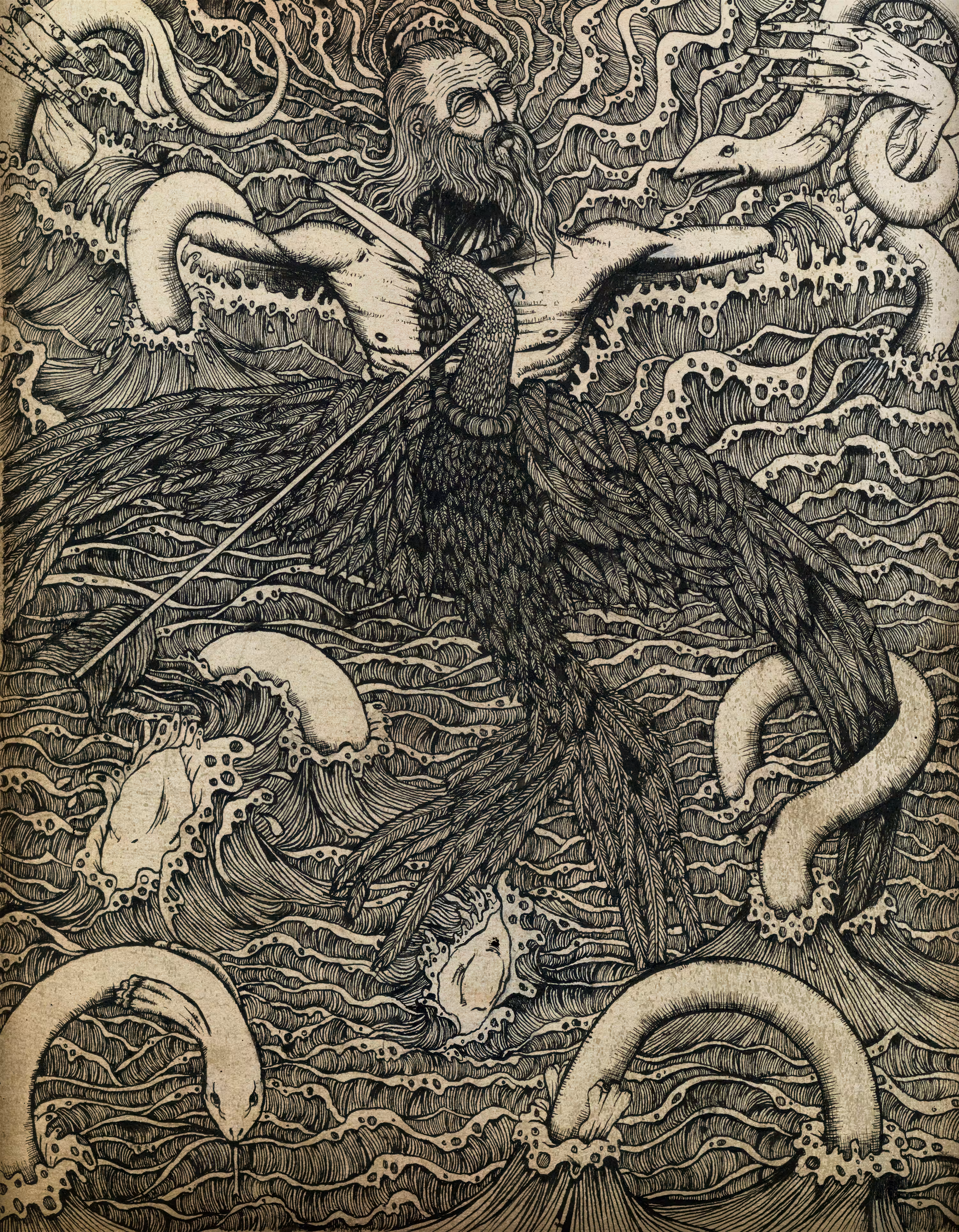 Albatross