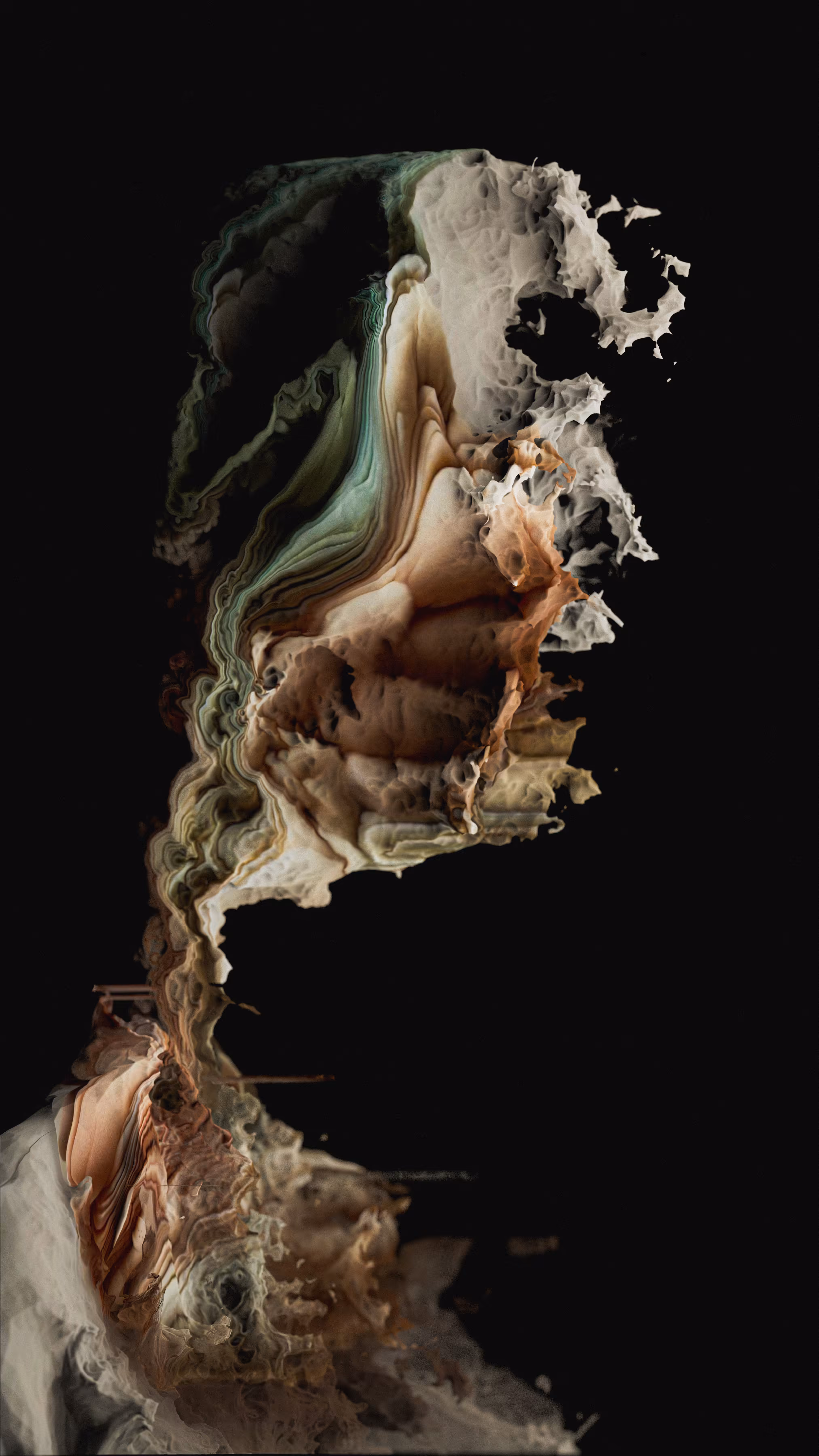 IMPERMANENCE
