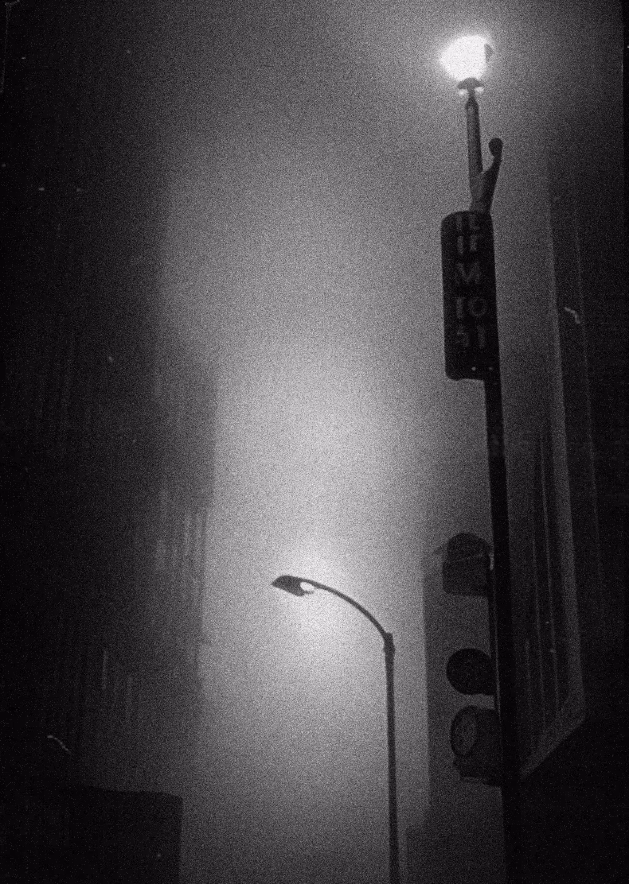 Noir dream #003