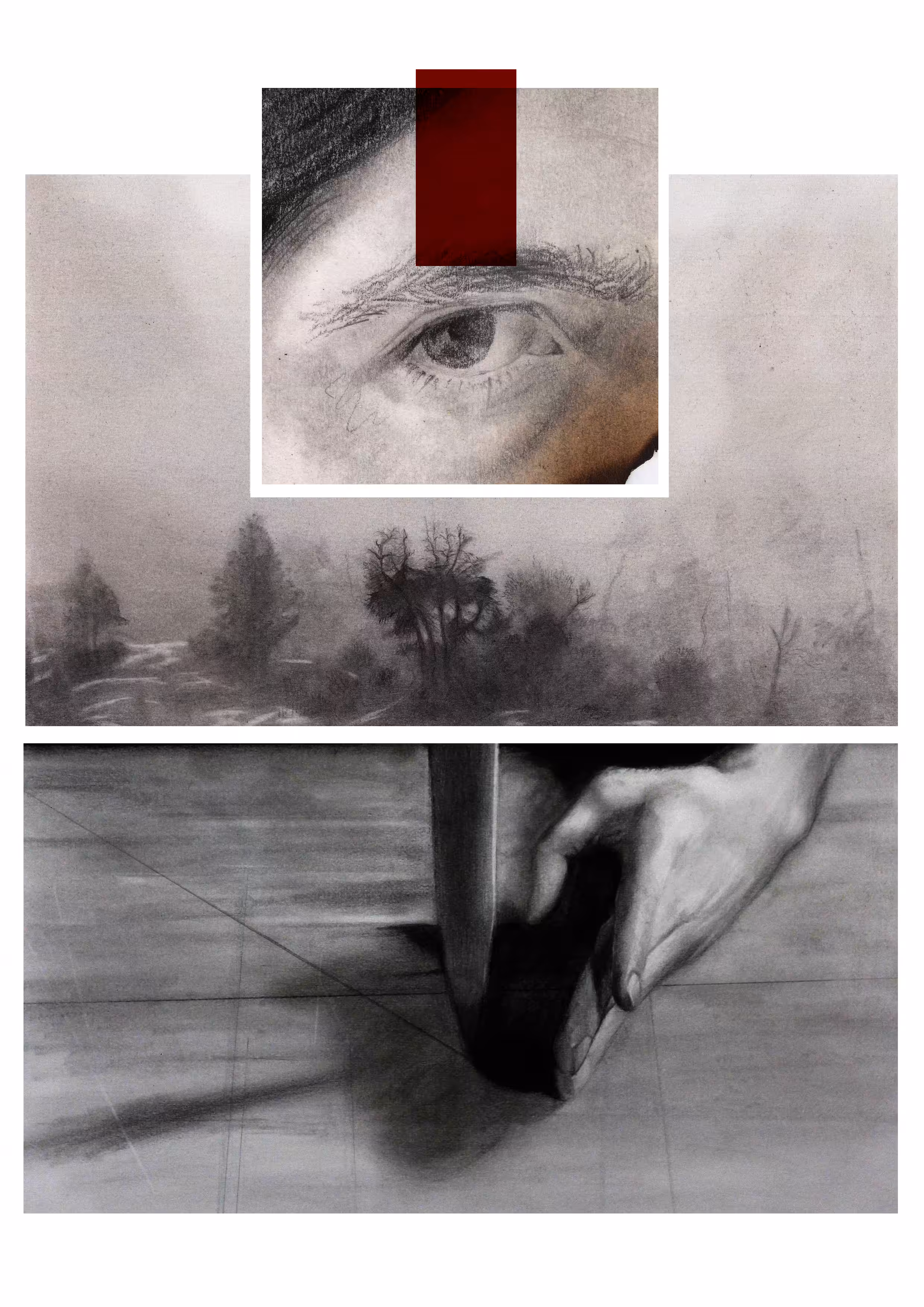 The eye
