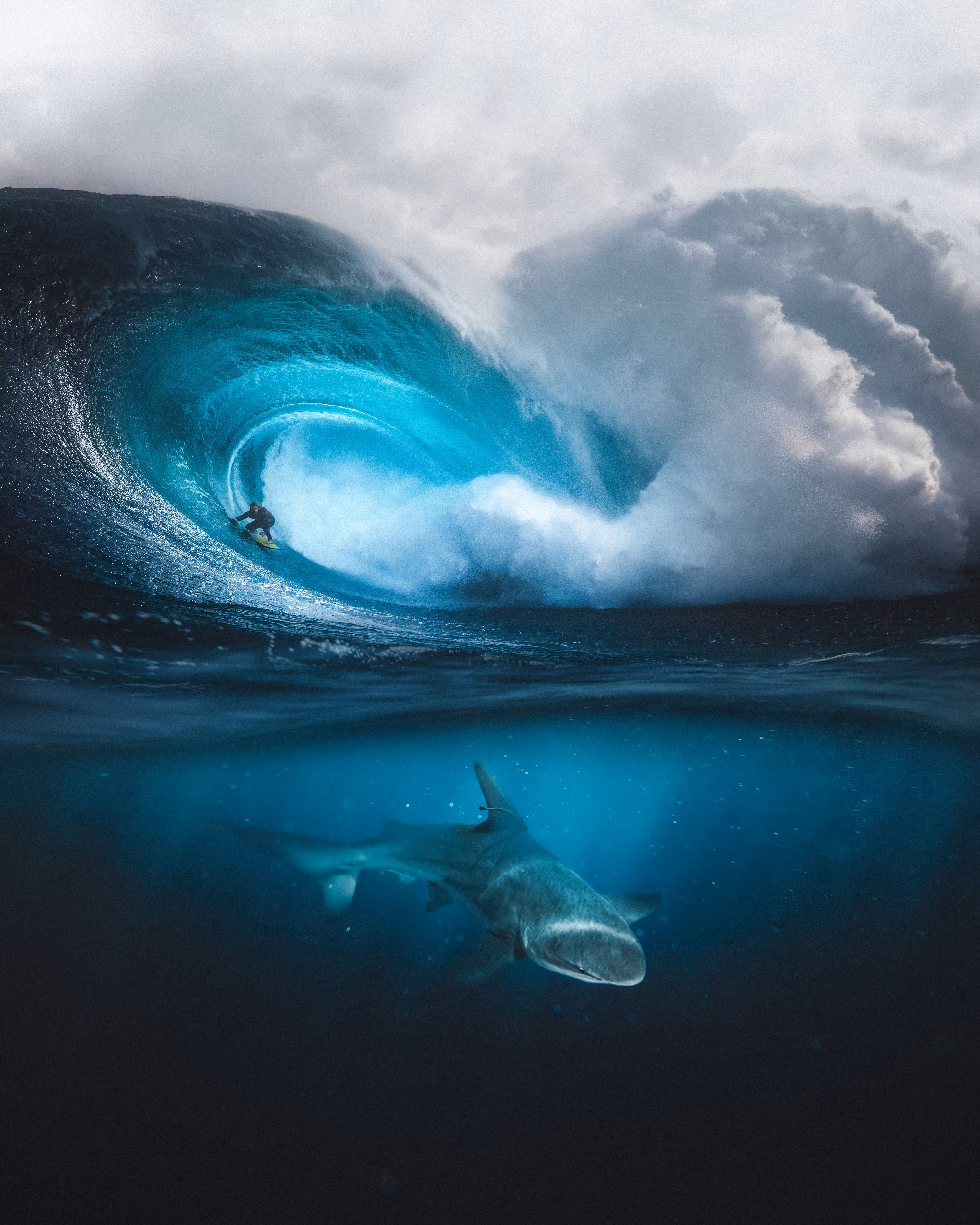 Sharkwave