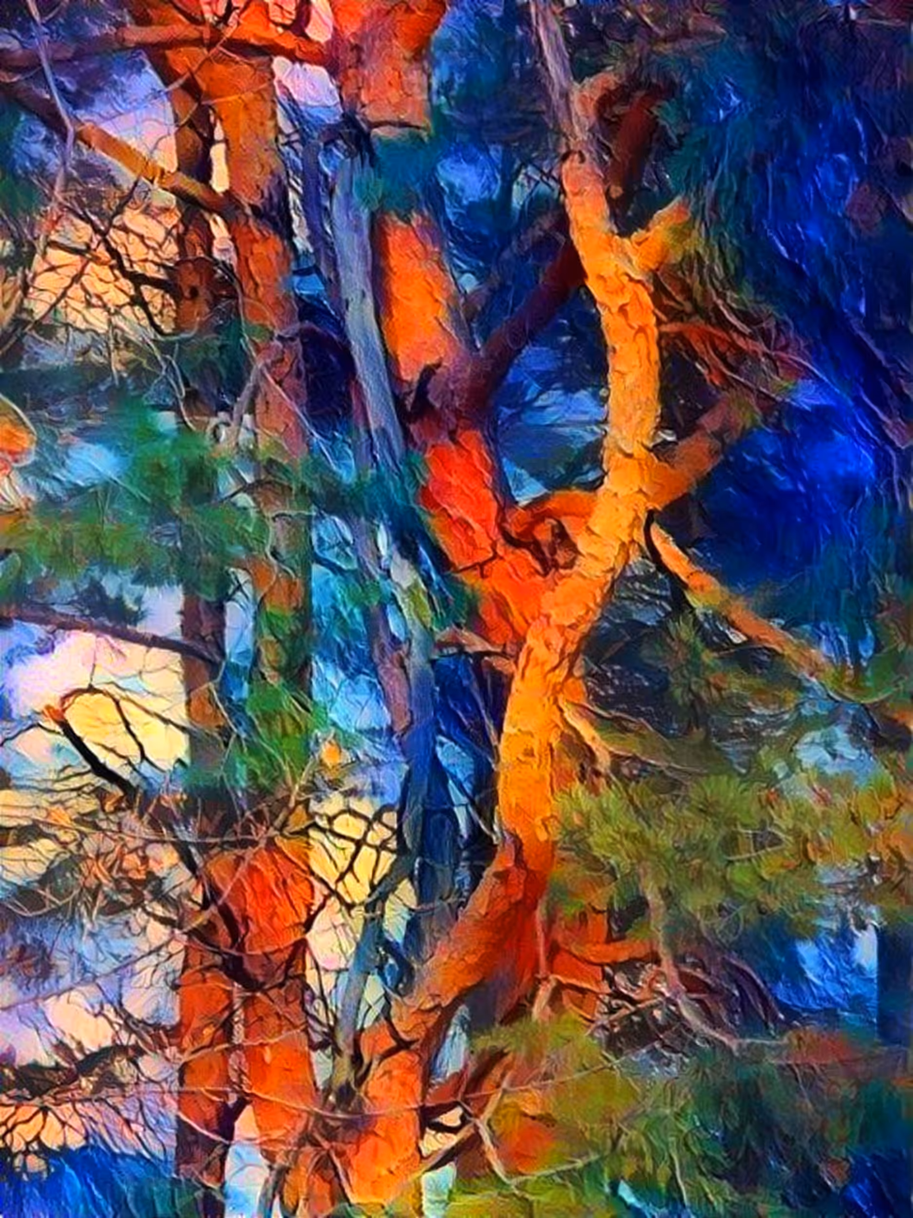 Pines embrace