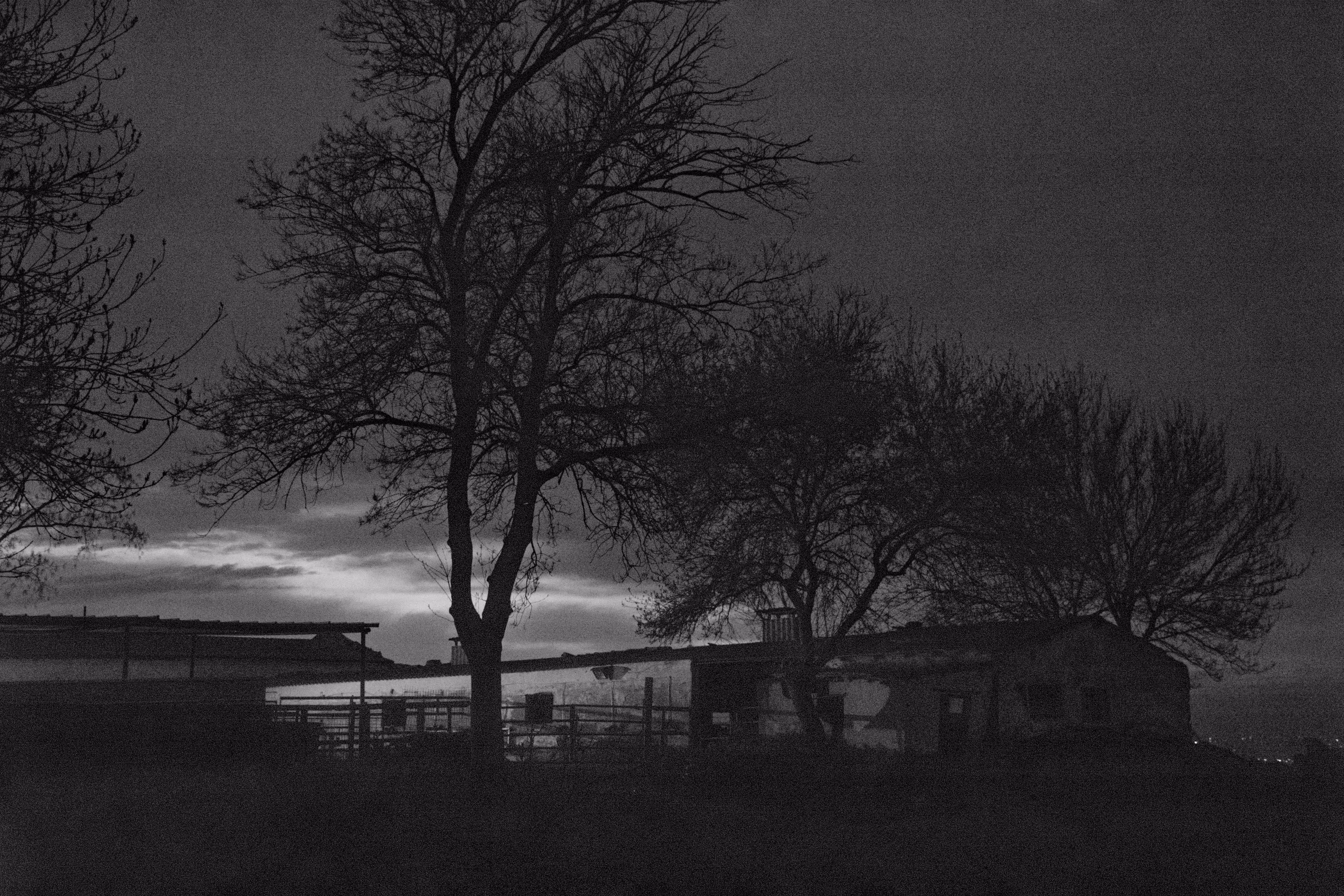 Farm memory 