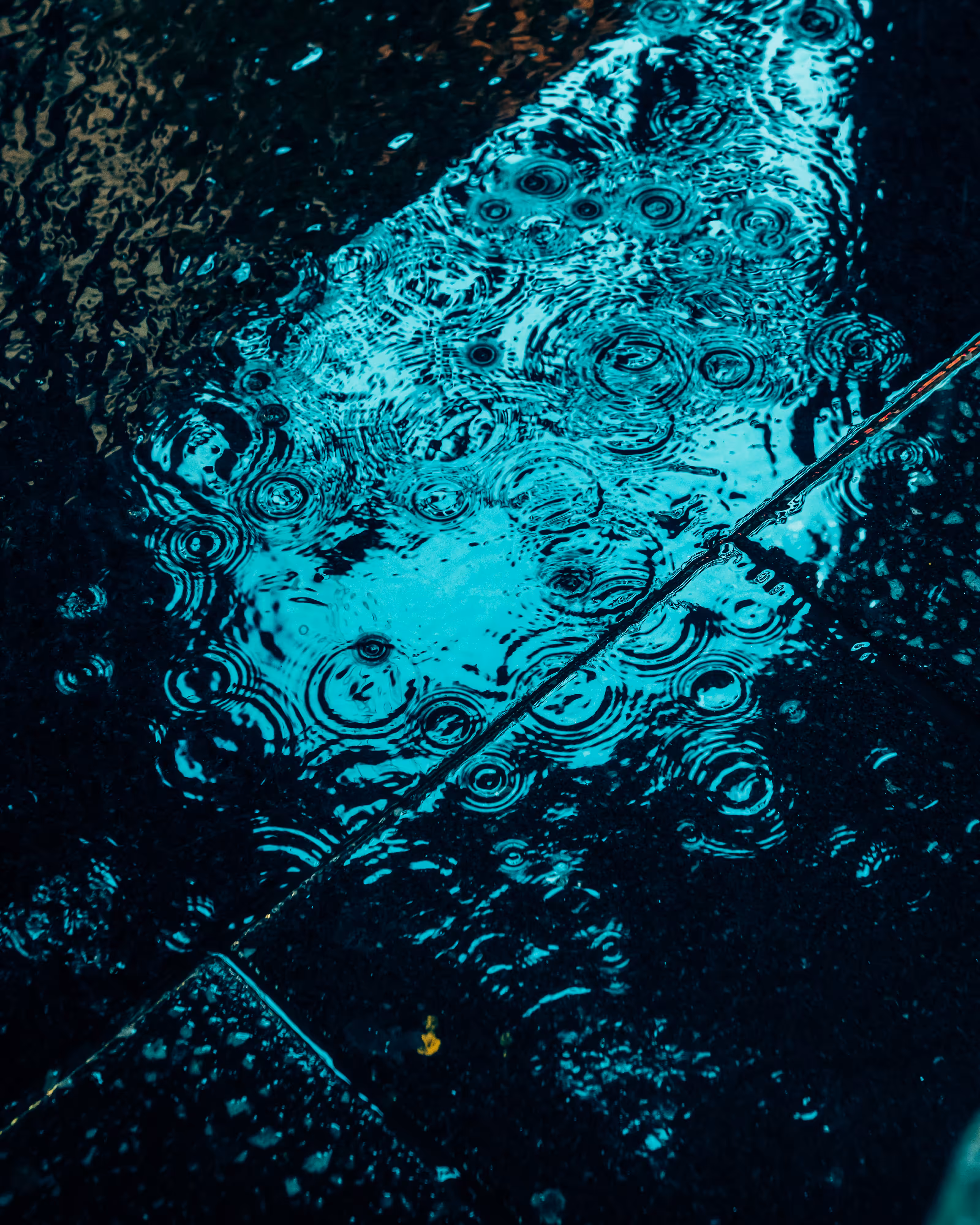 DRIP DROP: DRIP #815