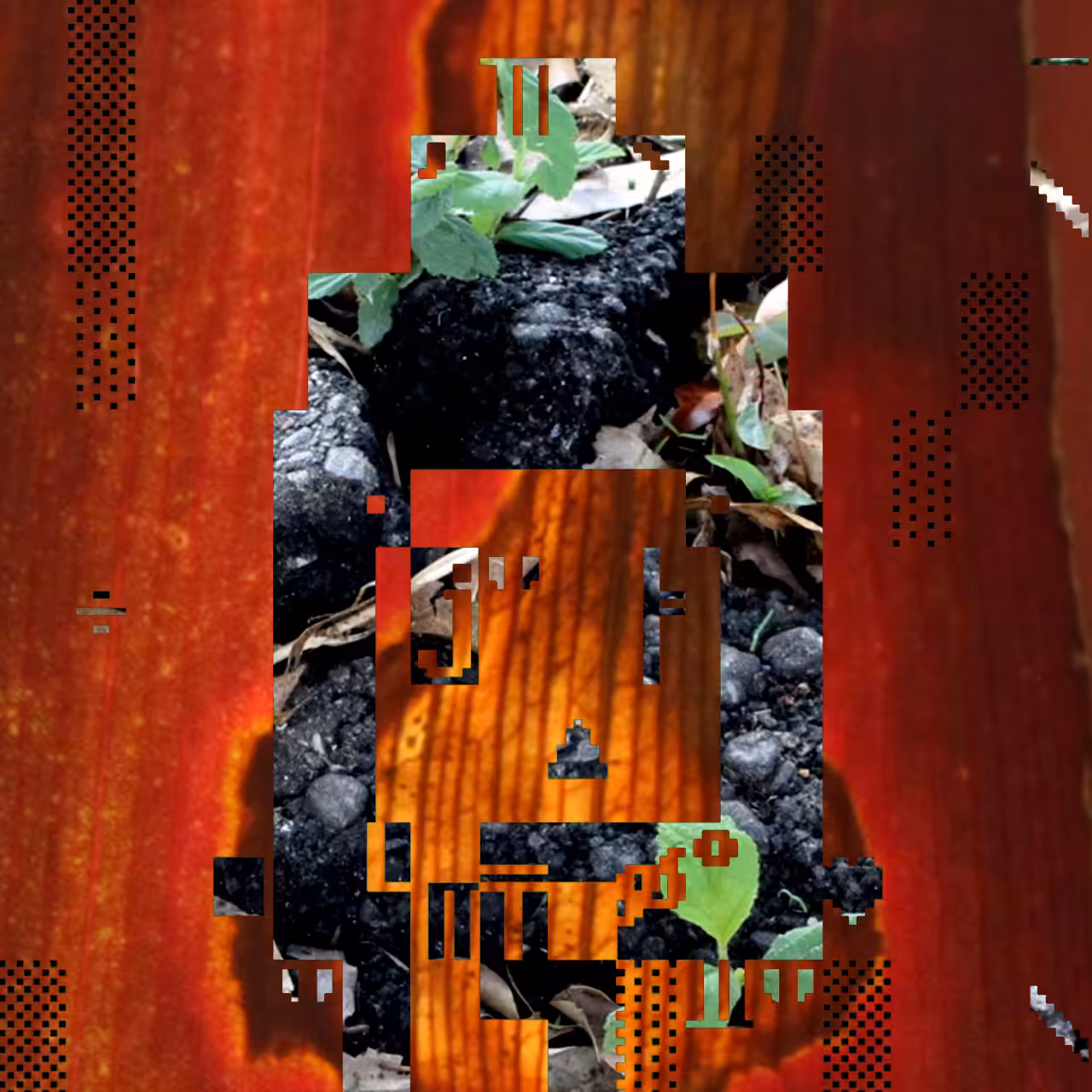 PhotoDOSpunk #46