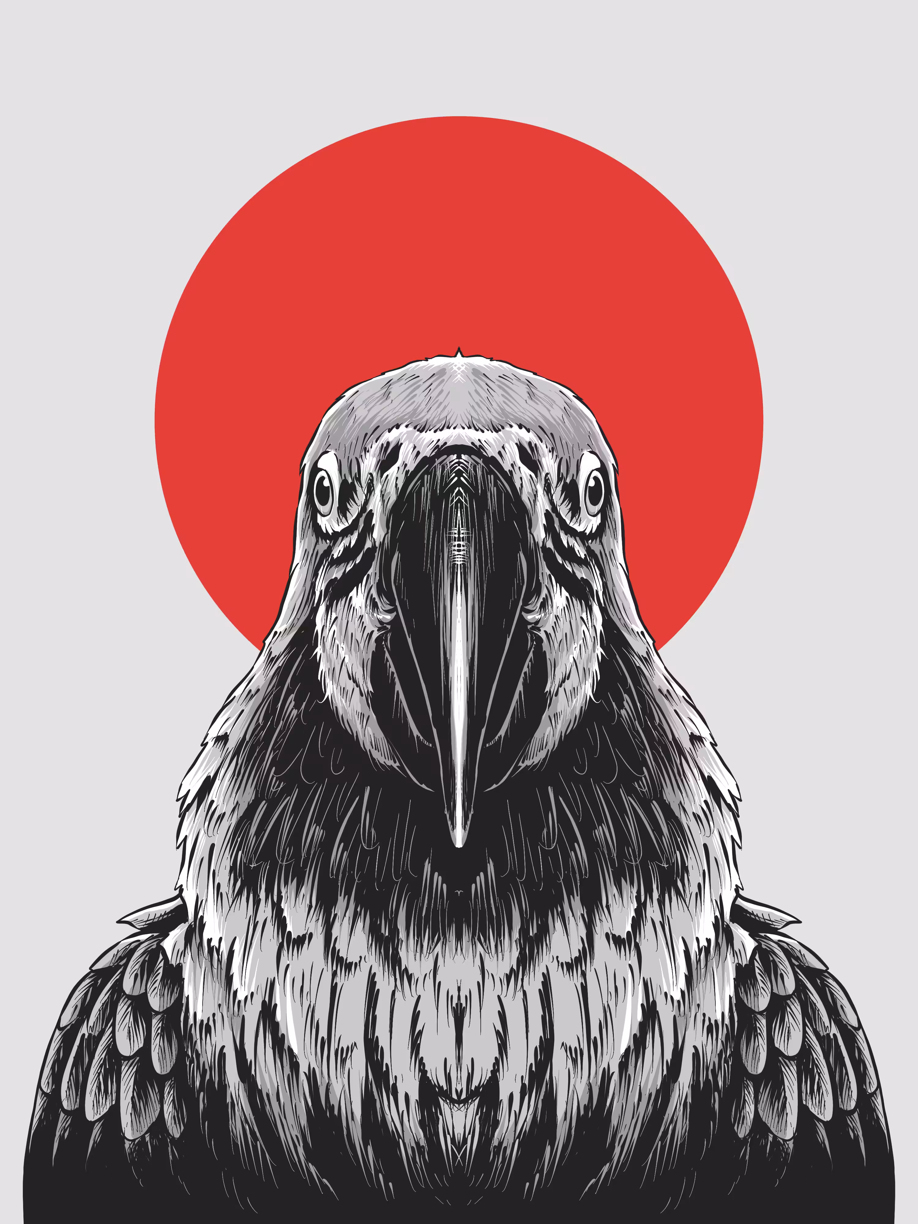 Beo Macaw