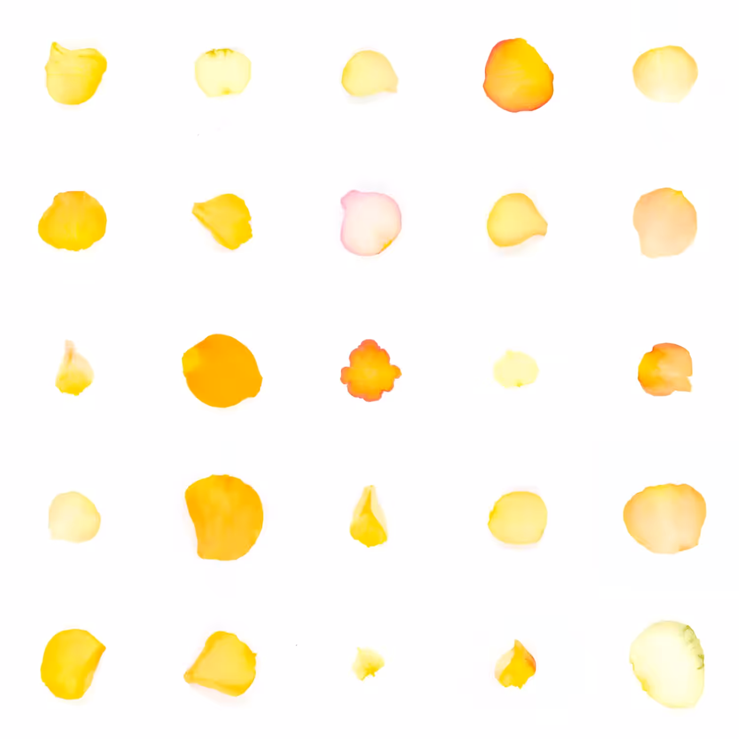 Infinite Petals 5x5#20044