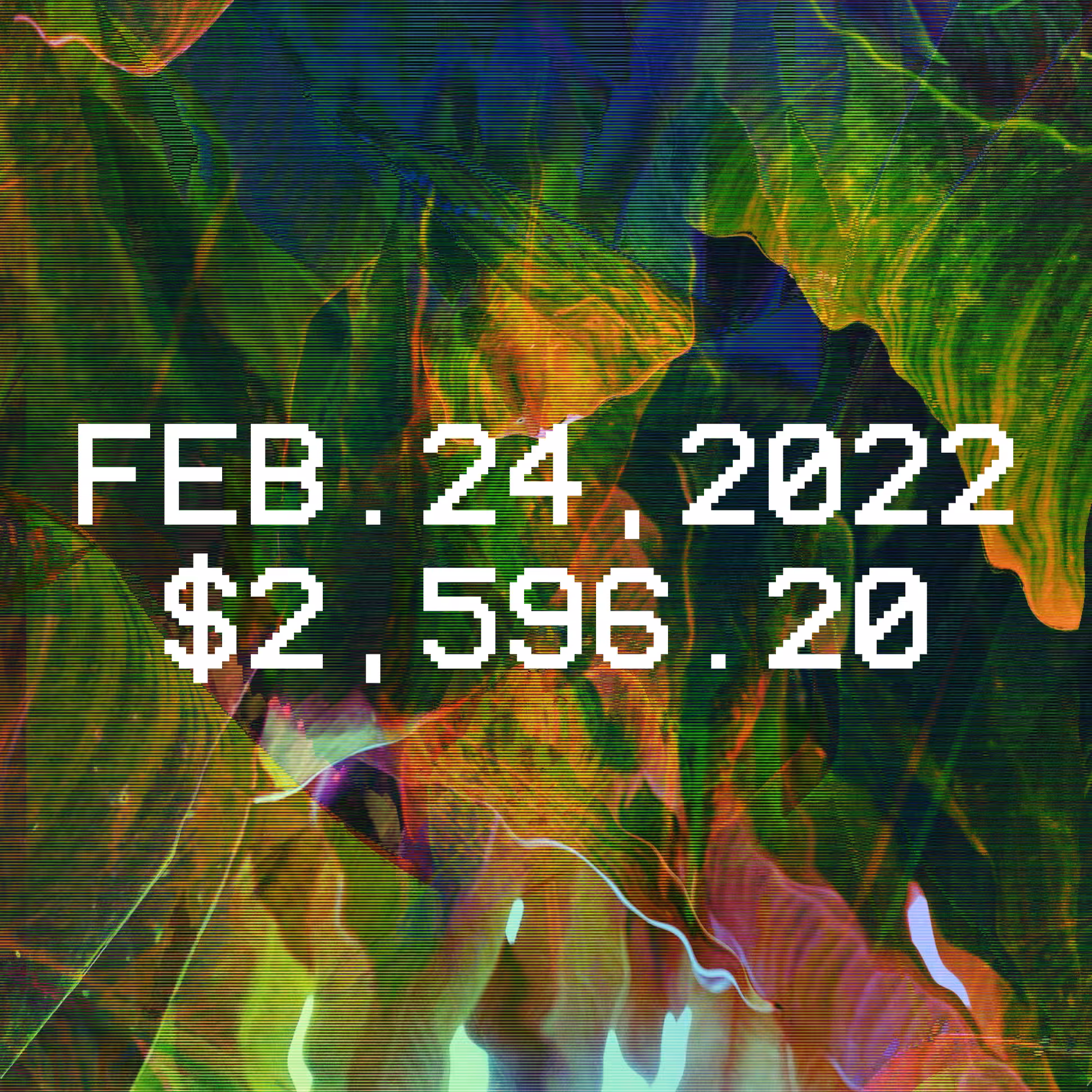 February 24
