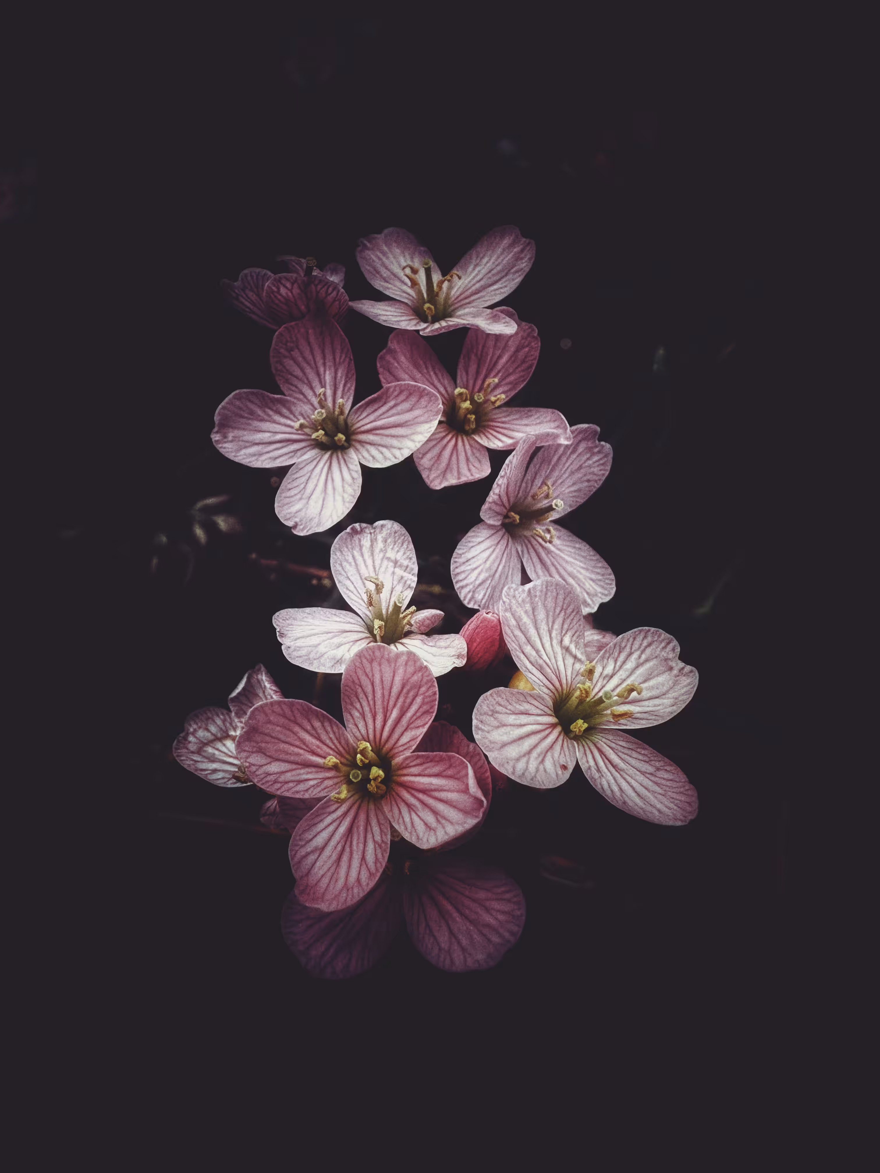 Dark Cascade