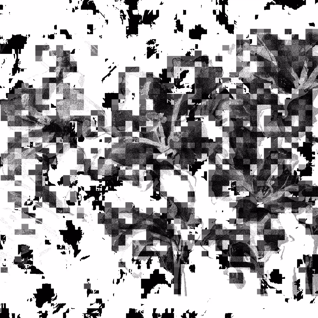 shadow #5