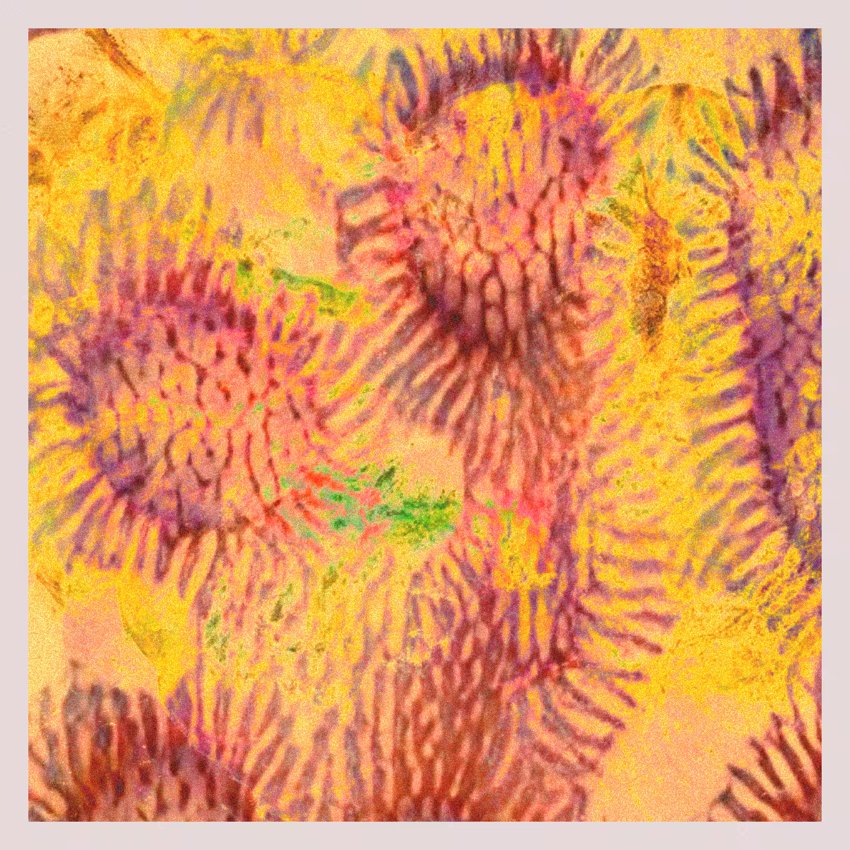 orGANics #14