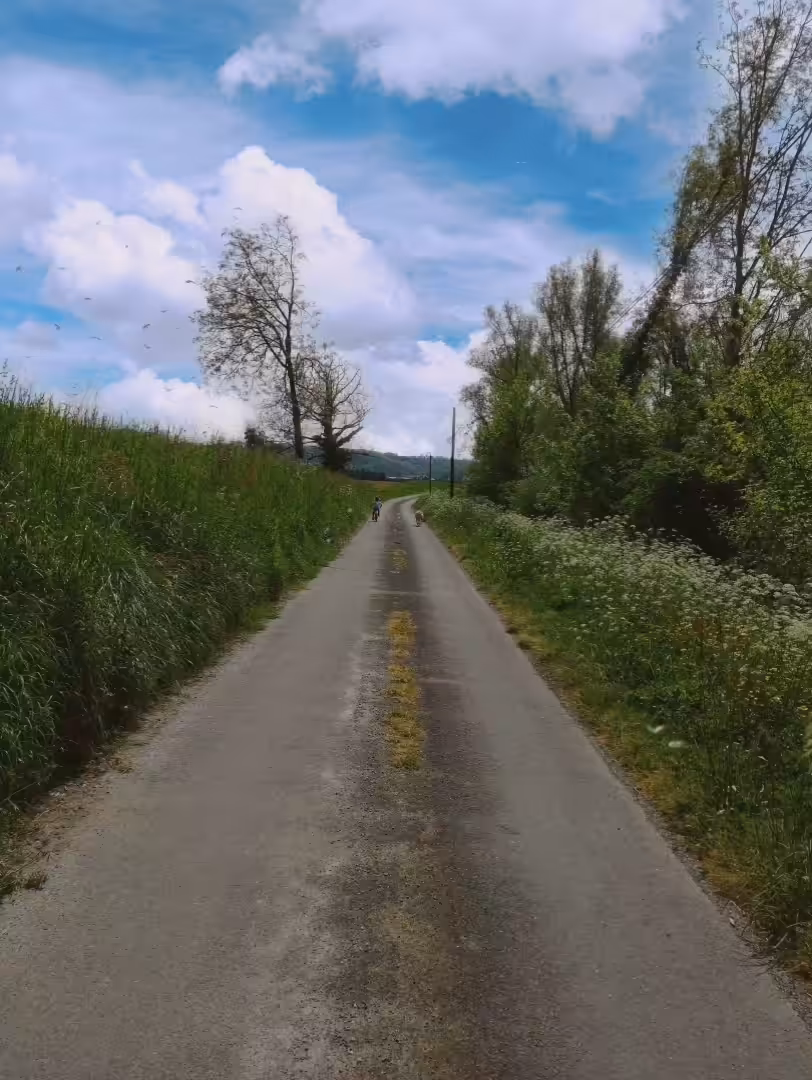 happy road to summer