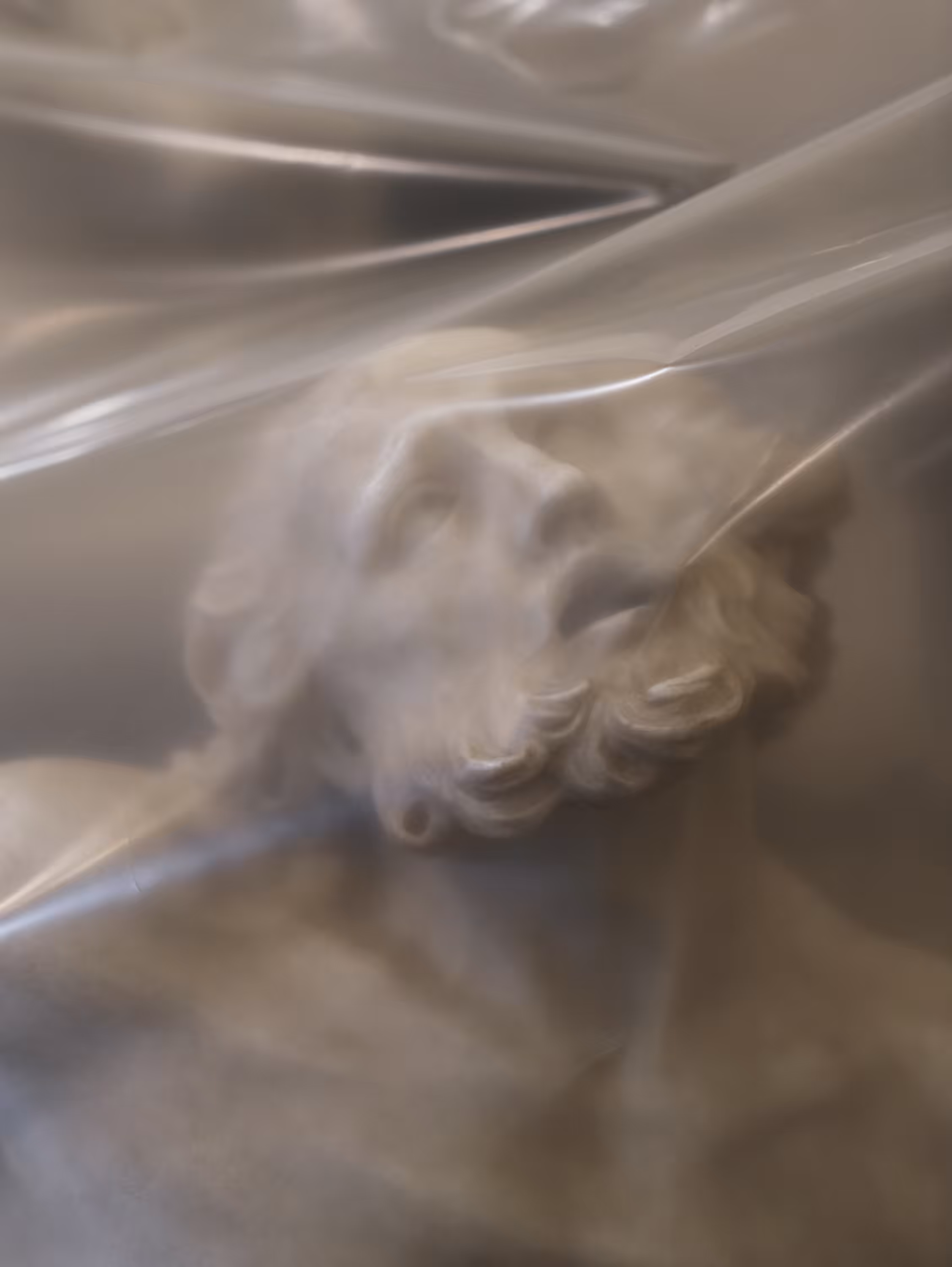 Shrouded Sculpture #5 (Vulcan chained to a rock by Claude David), 2021