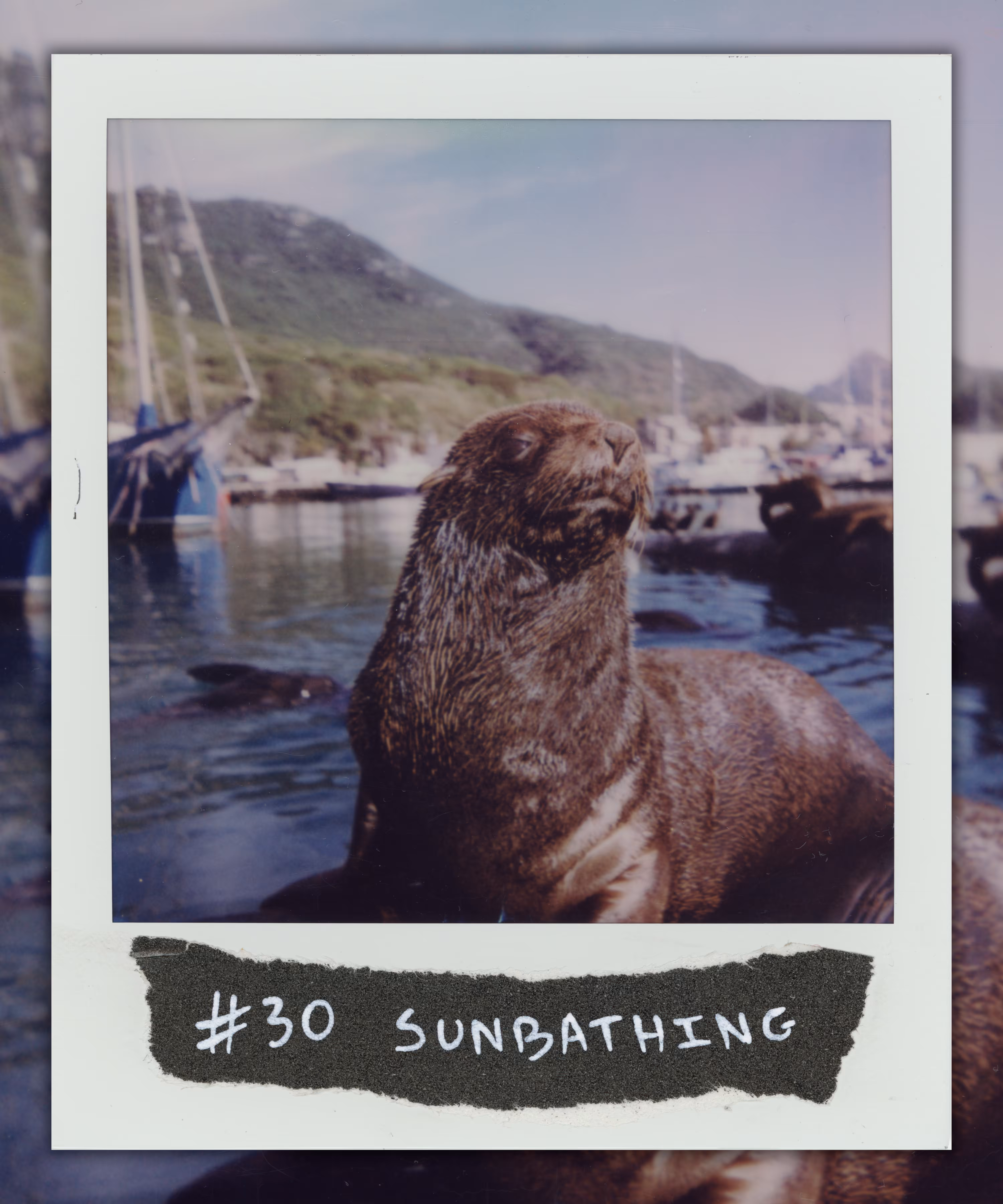#30 SUNBATHING