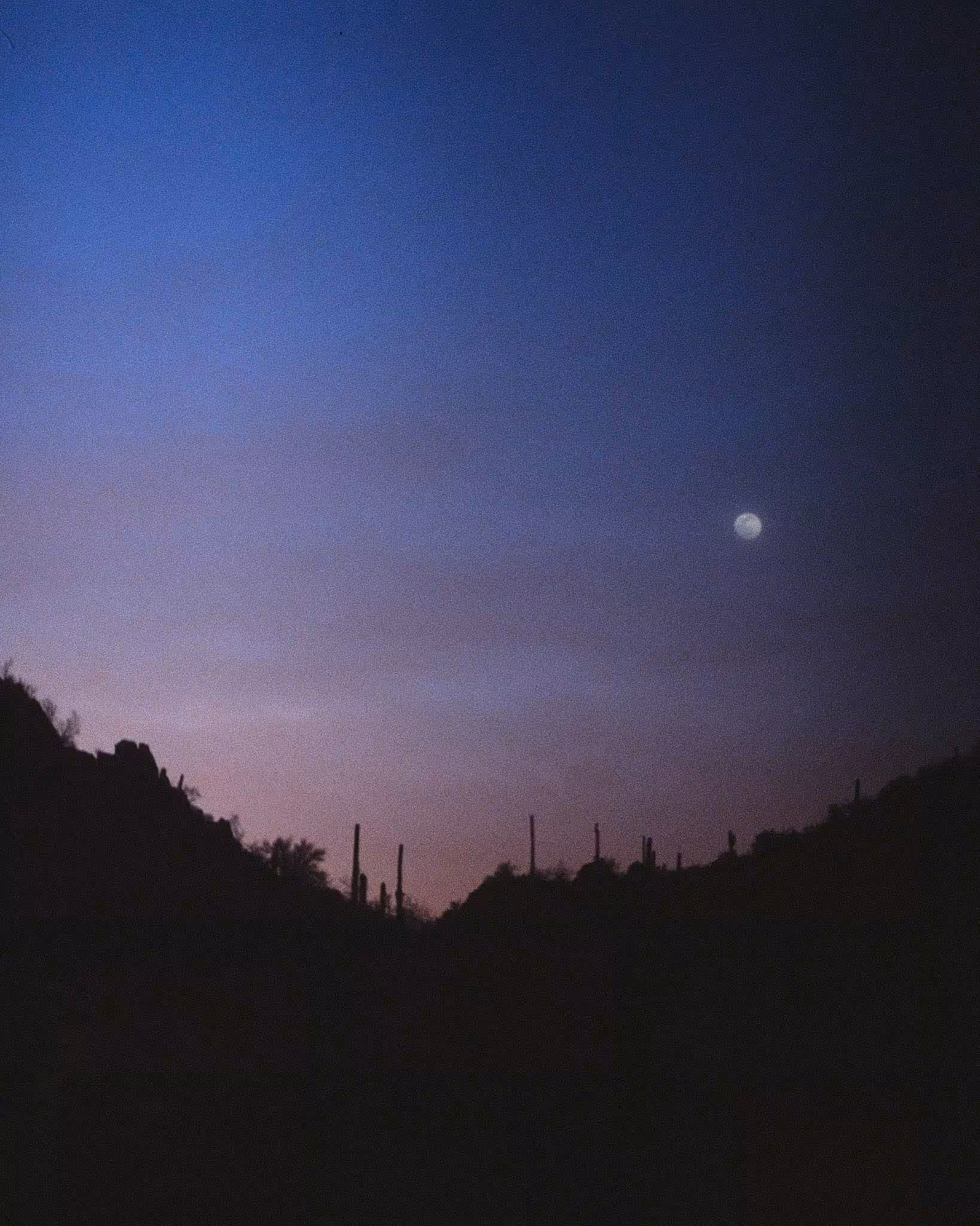 Saguaro Moon