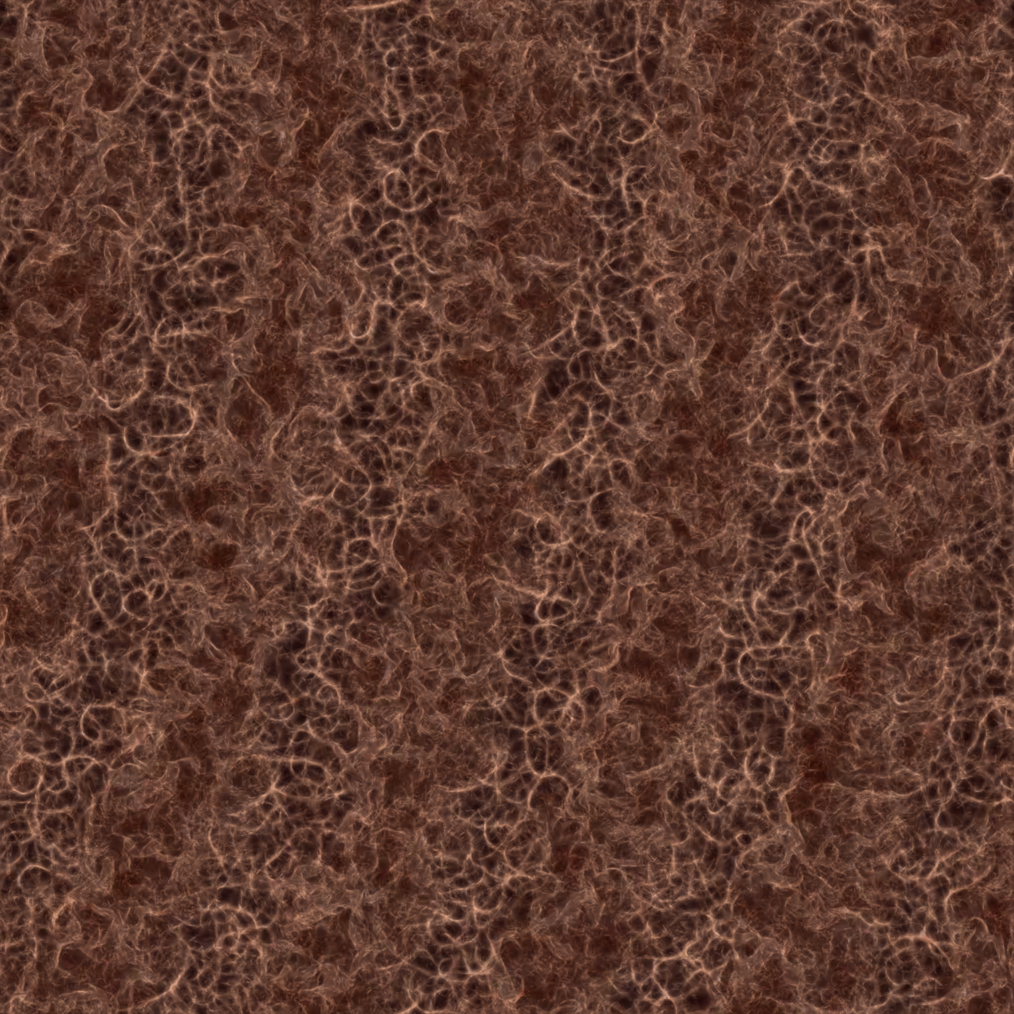 saprophyte #138