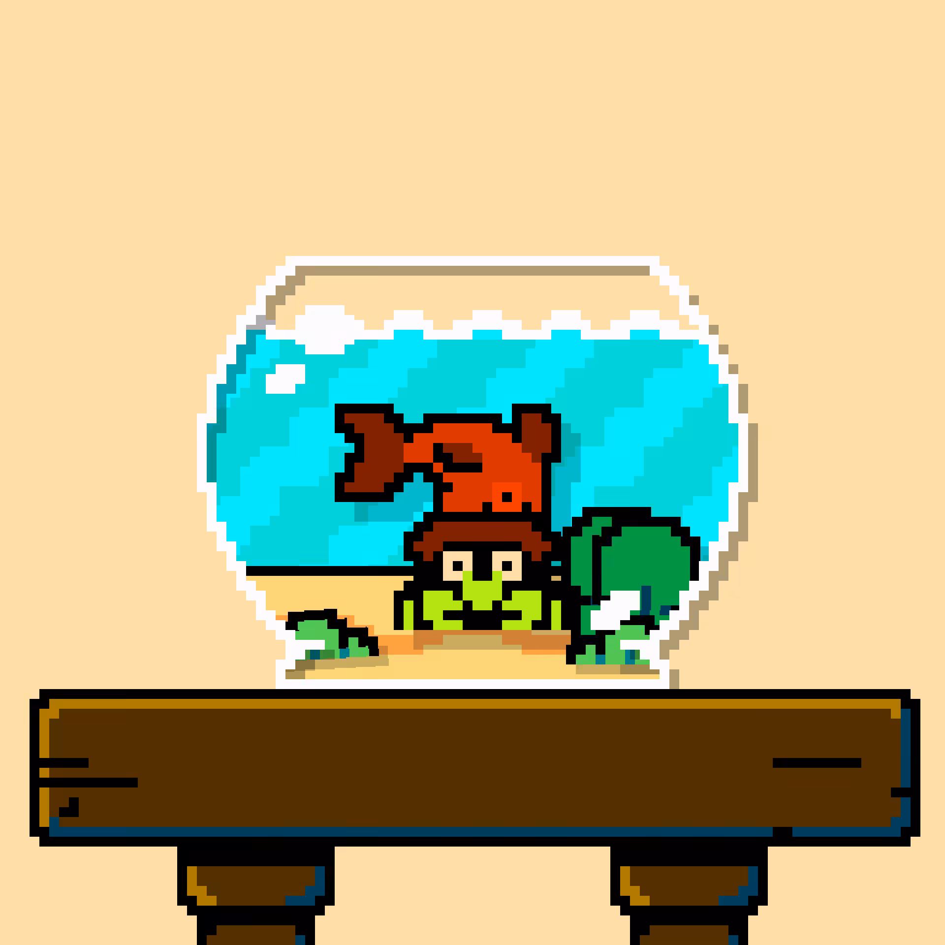 hermit crab #23