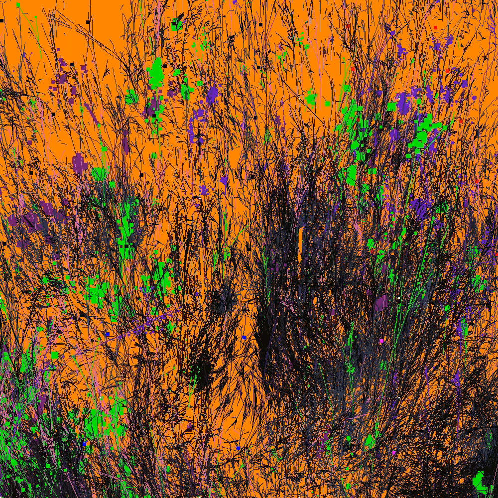 Infinite Garden: 219676 Flowers
