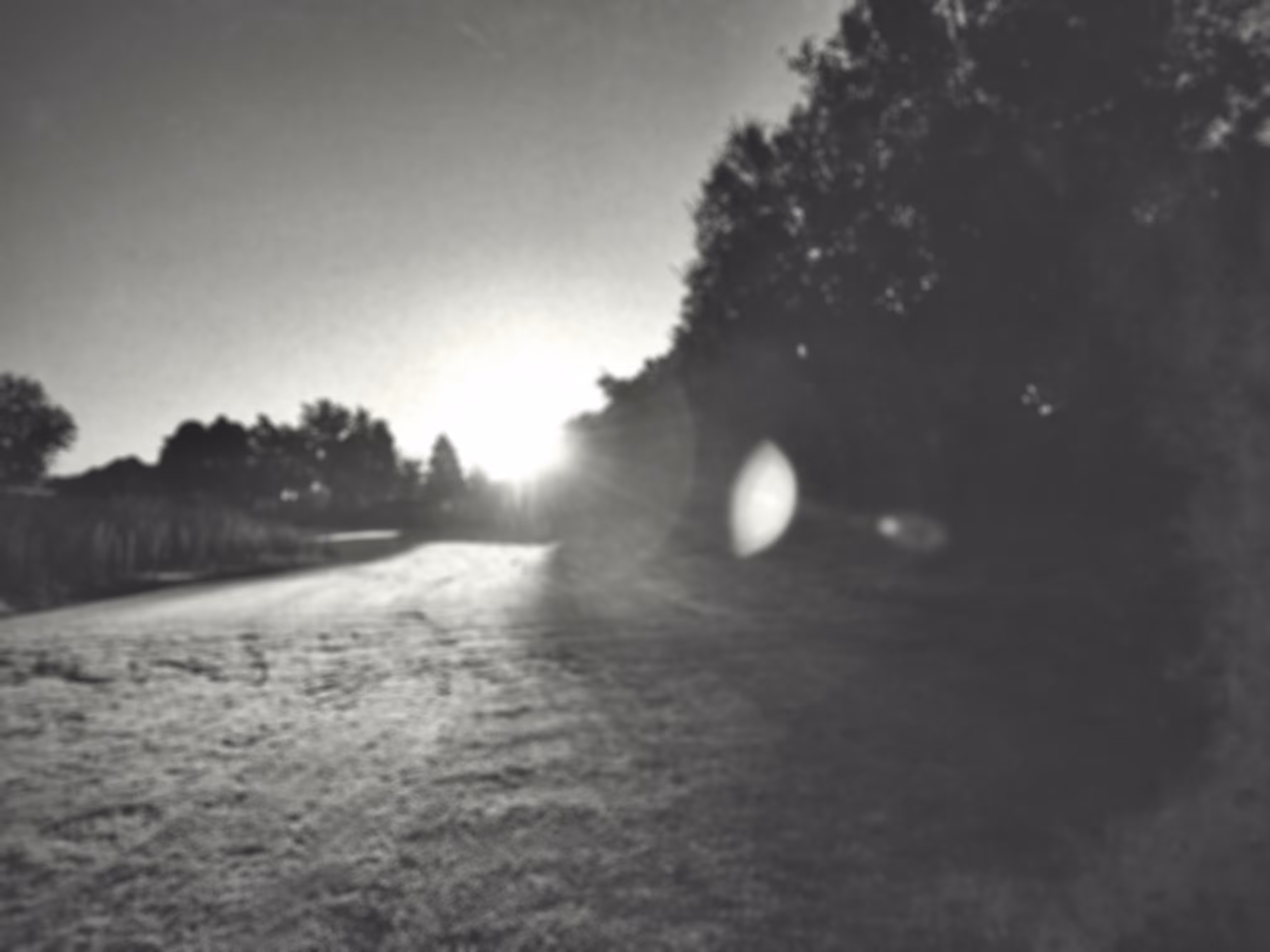 Morning Run