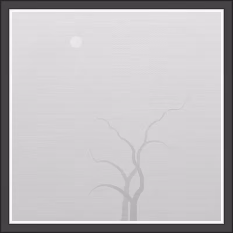 The Foggy Trees #38
