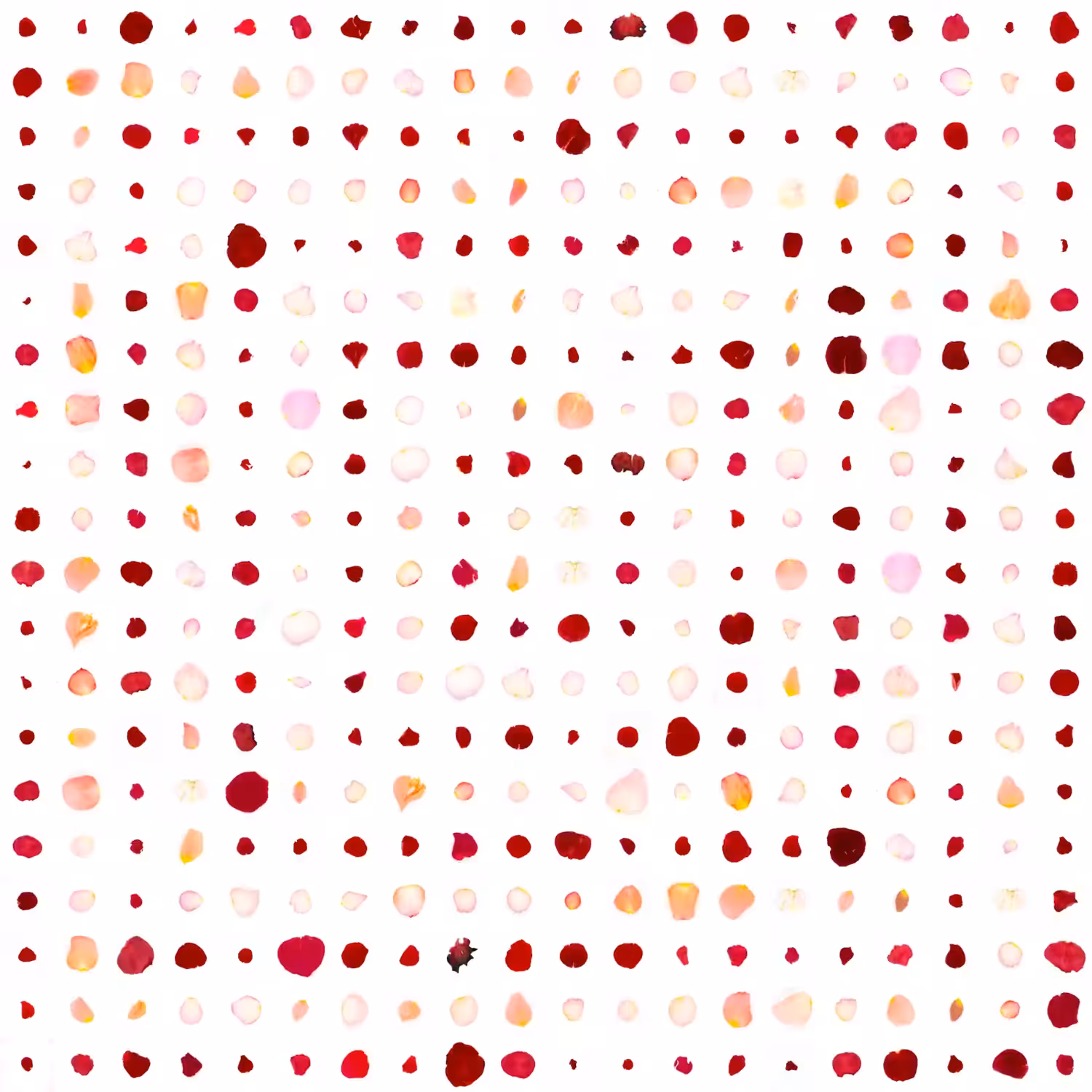 Infinite Petals 20x20#46659